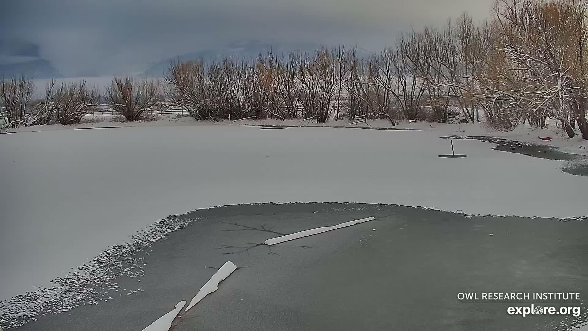 Mission Mountain Range & Mt Calowahcan View from Ninepipe Lodge Wildlife Refuge Live Cam - Charlo, Lake County, Montana, USA