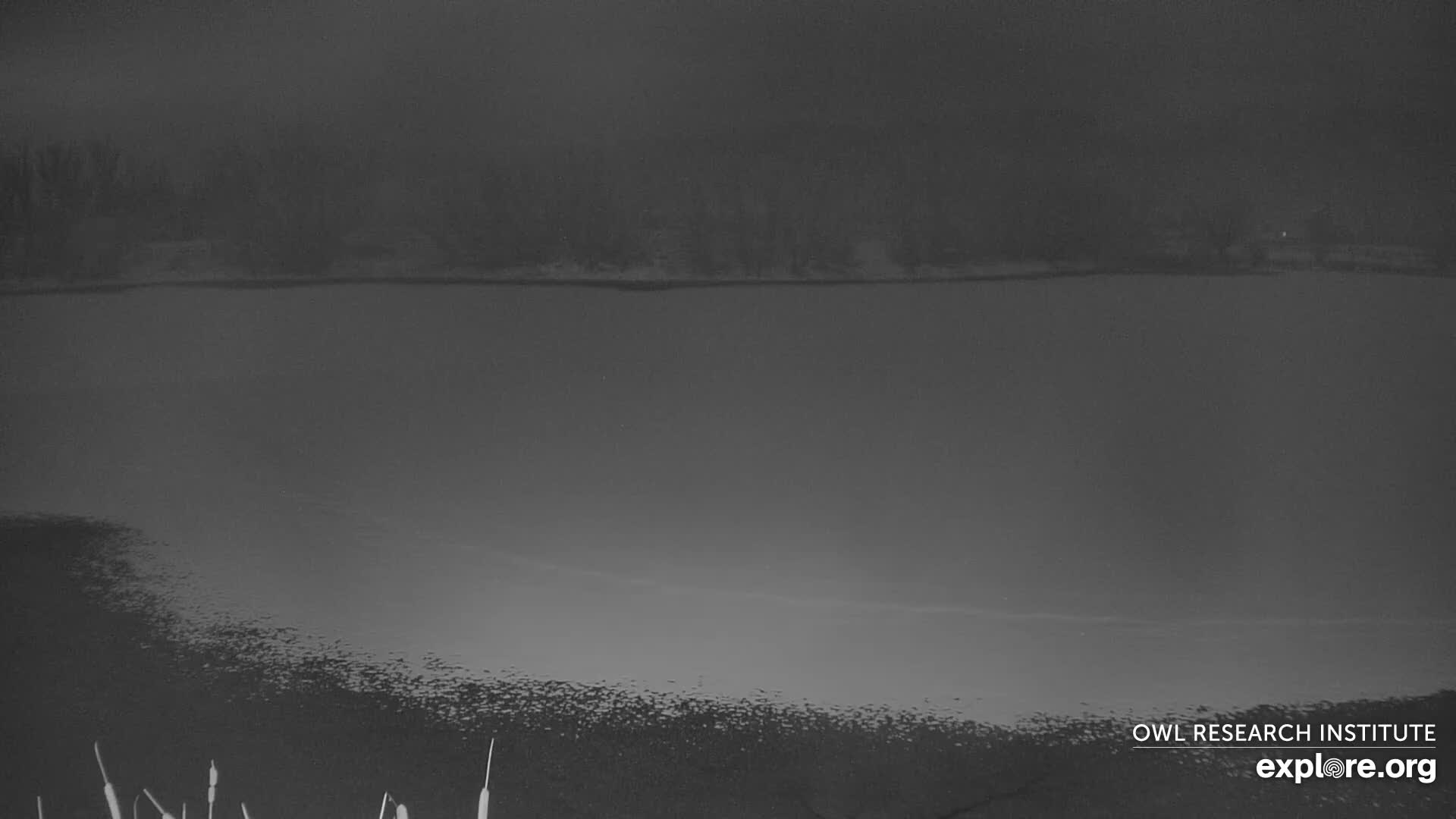 A dark and overcast nighttime scene depicts a body of water with a faint distant shore and sparse reeds visible in the foreground.