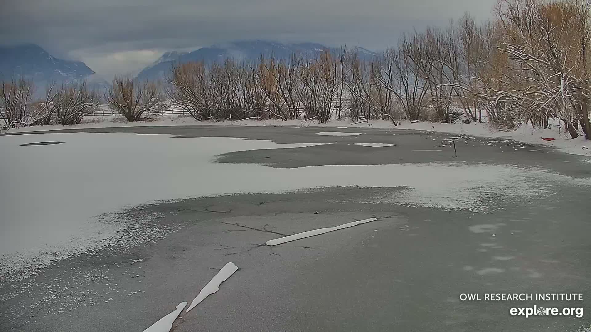 Mission Mountain Range & Mt Calowahcan View from Ninepipe Lodge Wildlife Refuge Live Cam - Charlo, Lake County, Montana, USA