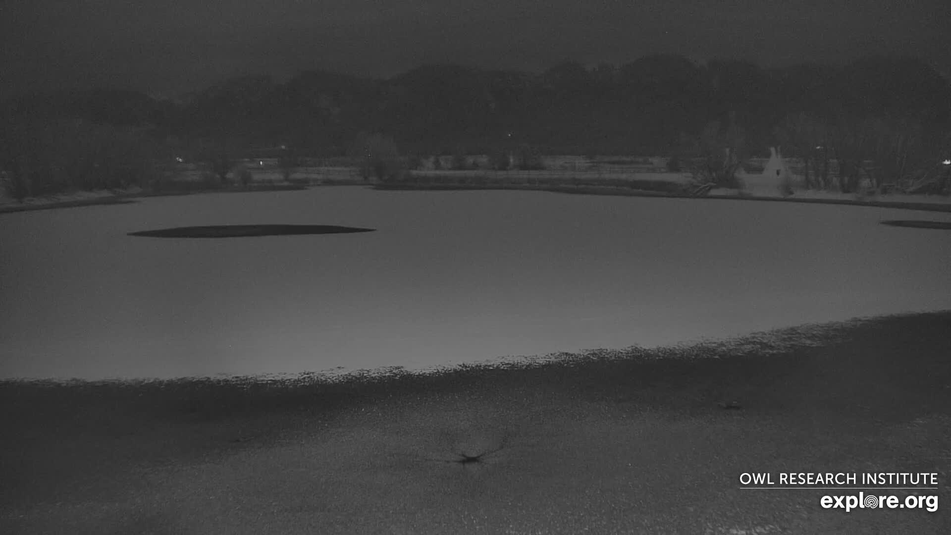 Mission Mountain Range & Mt Calowahcan View from Ninepipe Lodge Wildlife Refuge Live Cam - Charlo, Lake County, Montana, USA