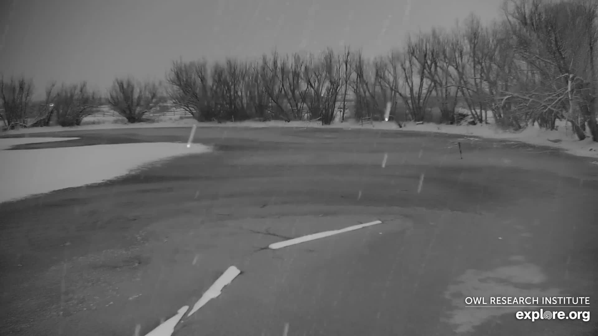 Mission Mountain Range & Mt Calowahcan View from Ninepipe Lodge Wildlife Refuge Live Cam - Charlo, Lake County, Montana, USA