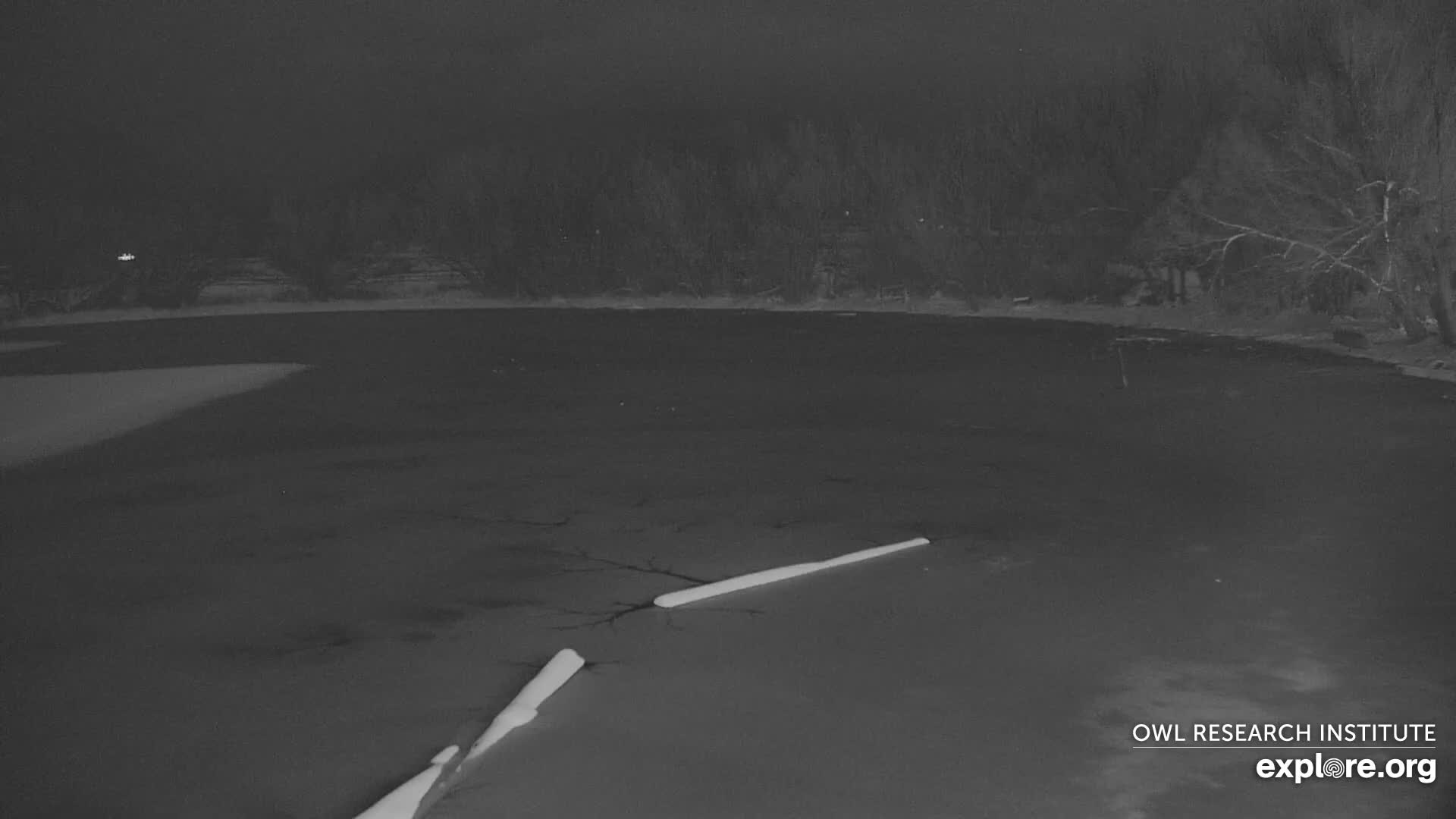 Mission Mountain Range & Mt Calowahcan View from Ninepipe Lodge Wildlife Refuge Live Cam - Charlo, Lake County, Montana, USA