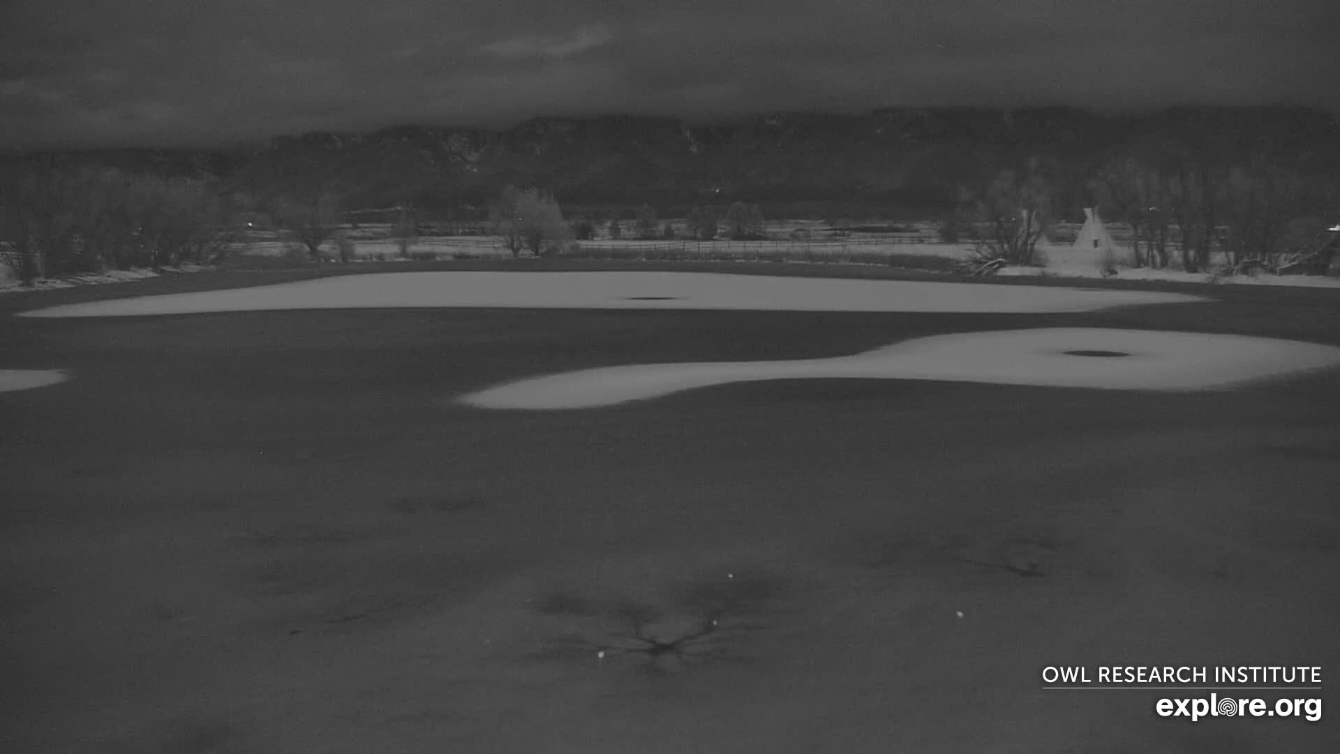 Mission Mountain Range & Mt Calowahcan View from Ninepipe Lodge Wildlife Refuge Live Cam - Charlo, Lake County, Montana, USA