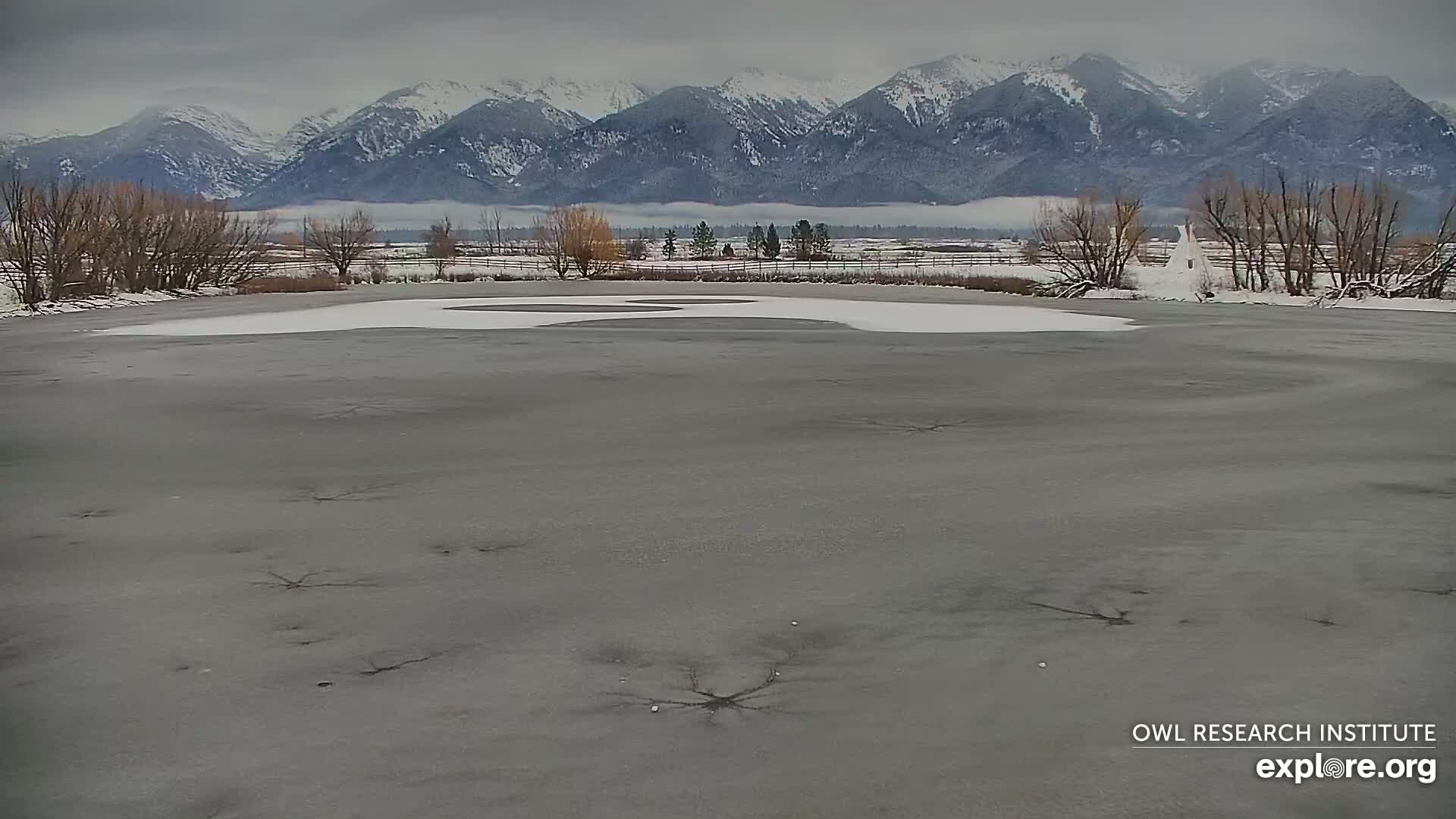 Mission Mountain Range & Mt Calowahcan View from Ninepipe Lodge Wildlife Refuge Live Cam - Charlo, Lake County, Montana, USA