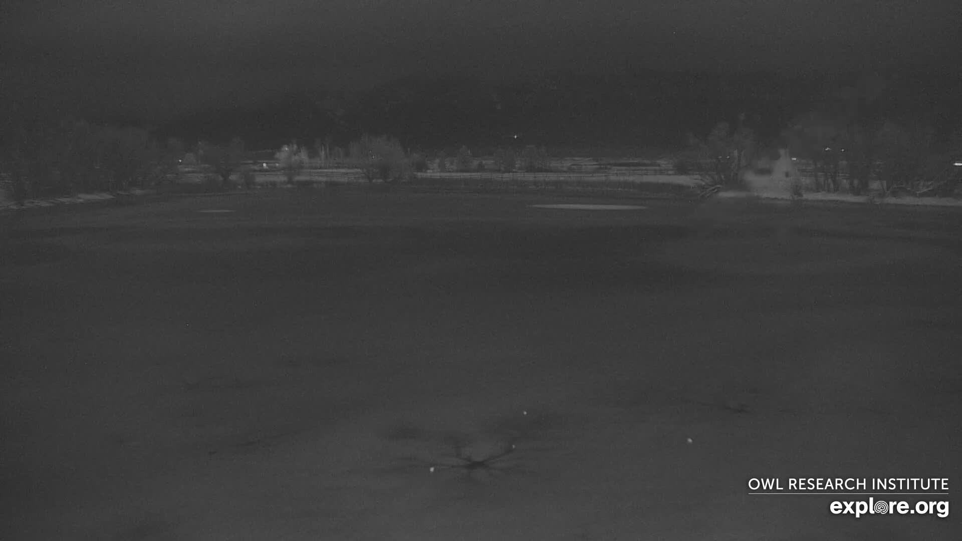 Mission Mountain Range & Mt Calowahcan View from Ninepipe Lodge Wildlife Refuge Live Cam - Charlo, Lake County, Montana, USA