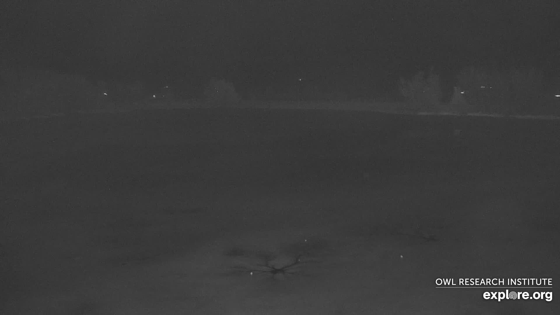 Mission Mountain Range & Mt Calowahcan View from Ninepipe Lodge Wildlife Refuge Live Cam - Charlo, Lake County, Montana, USA