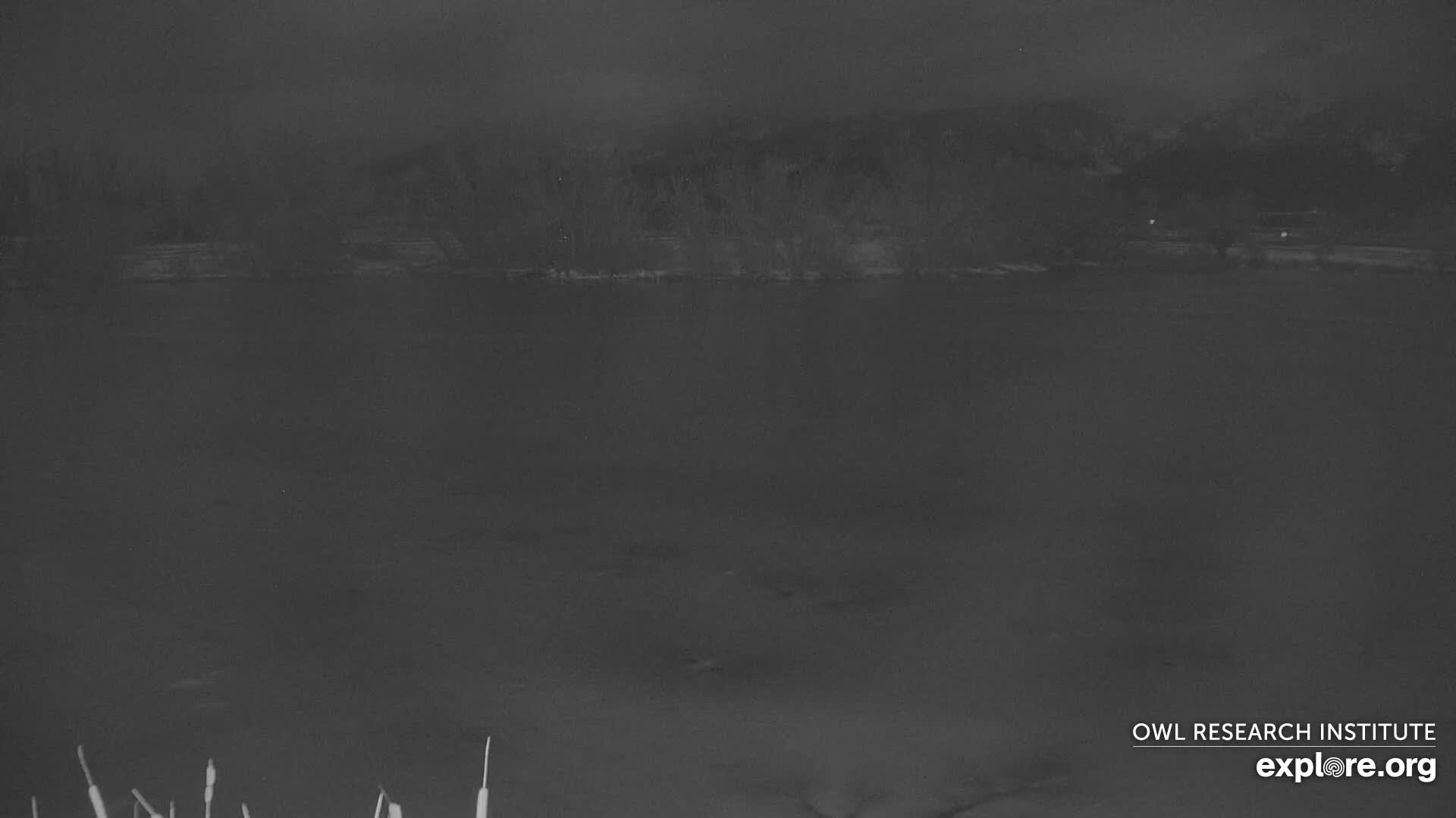 Mission Mountain Range & Mt Calowahcan View from Ninepipe Lodge Wildlife Refuge Live Cam - Charlo, Lake County, Montana, USA