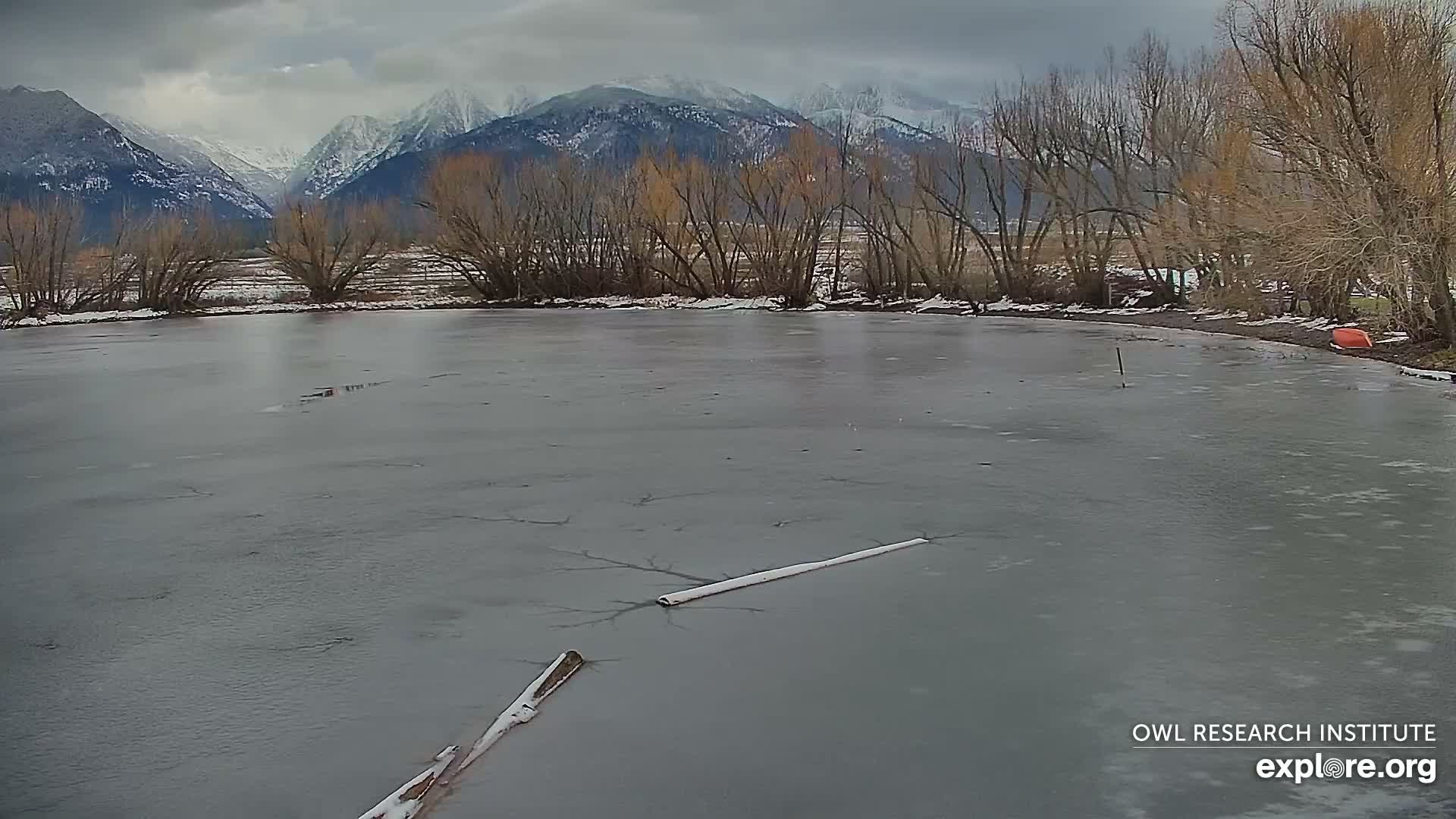 Mission Mountain Range & Mt Calowahcan View from Ninepipe Lodge Wildlife Refuge Live Cam - Charlo, Lake County, Montana, USA