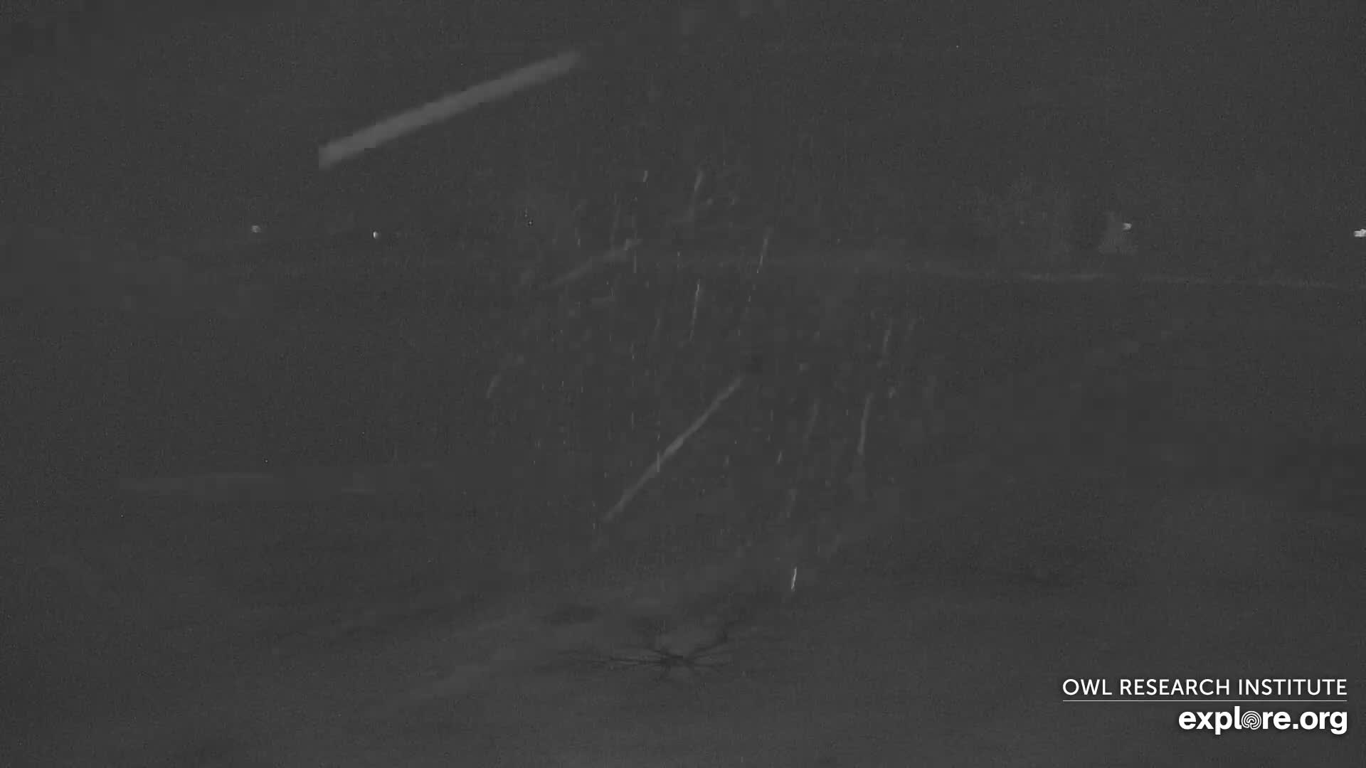 Mission Mountain Range & Mt Calowahcan View from Ninepipe Lodge Wildlife Refuge Live Cam - Charlo, Lake County, Montana, USA