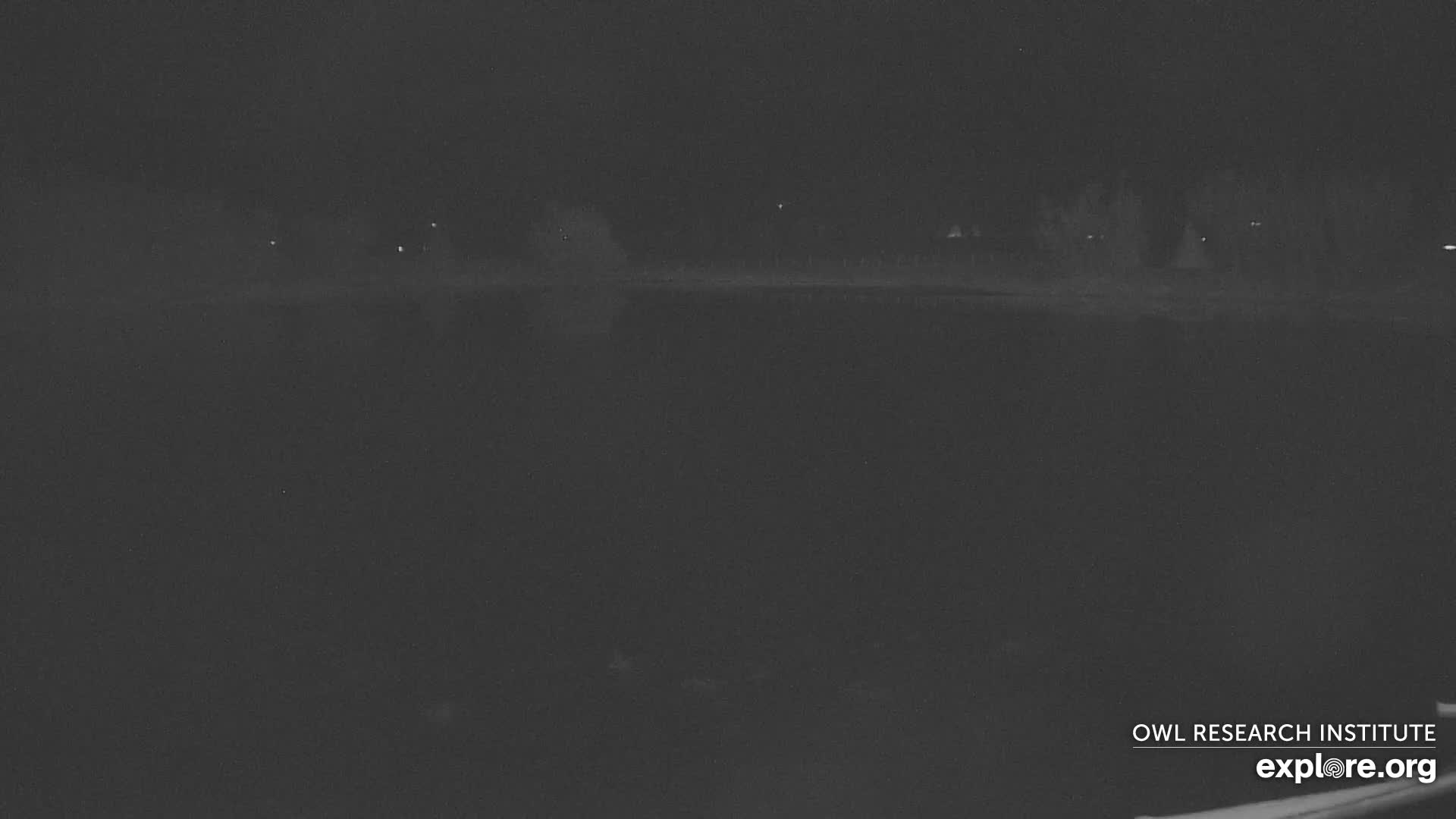Mission Mountain Range & Mt Calowahcan View from Ninepipe Lodge Wildlife Refuge Live Cam - Charlo, Lake County, Montana, USA