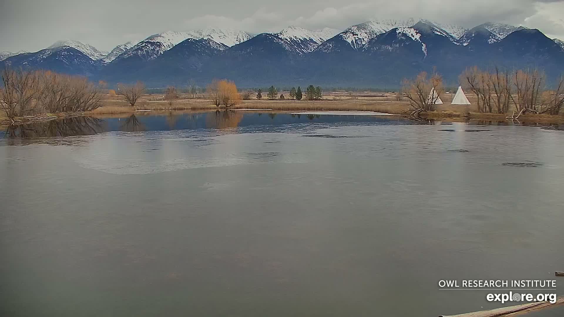 Mission Mountain Range & Mt Calowahcan View from Ninepipe Lodge Wildlife Refuge Live Cam - Charlo, Lake County, Montana, USA