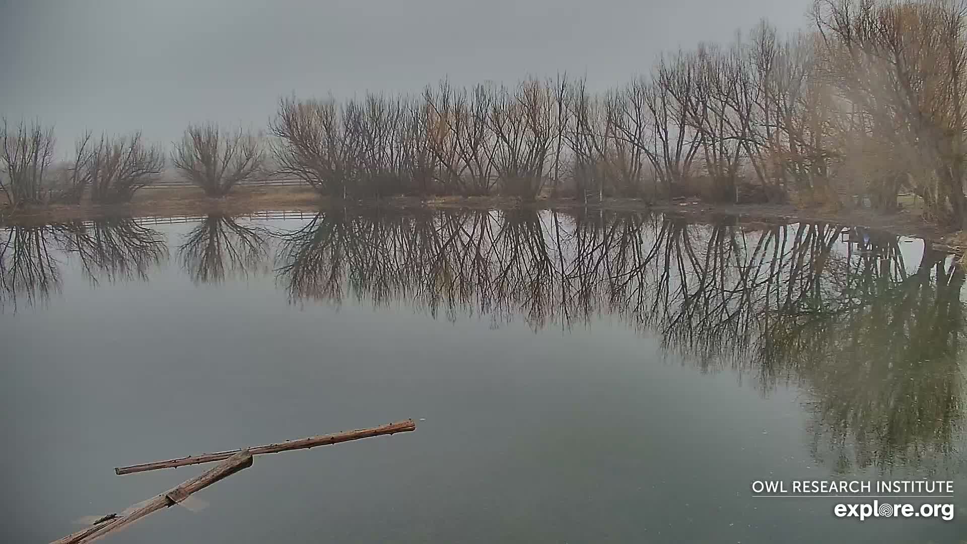 Mission Mountain Range & Mt Calowahcan View from Ninepipe Lodge Wildlife Refuge Live Cam - Charlo, Lake County, Montana, USA