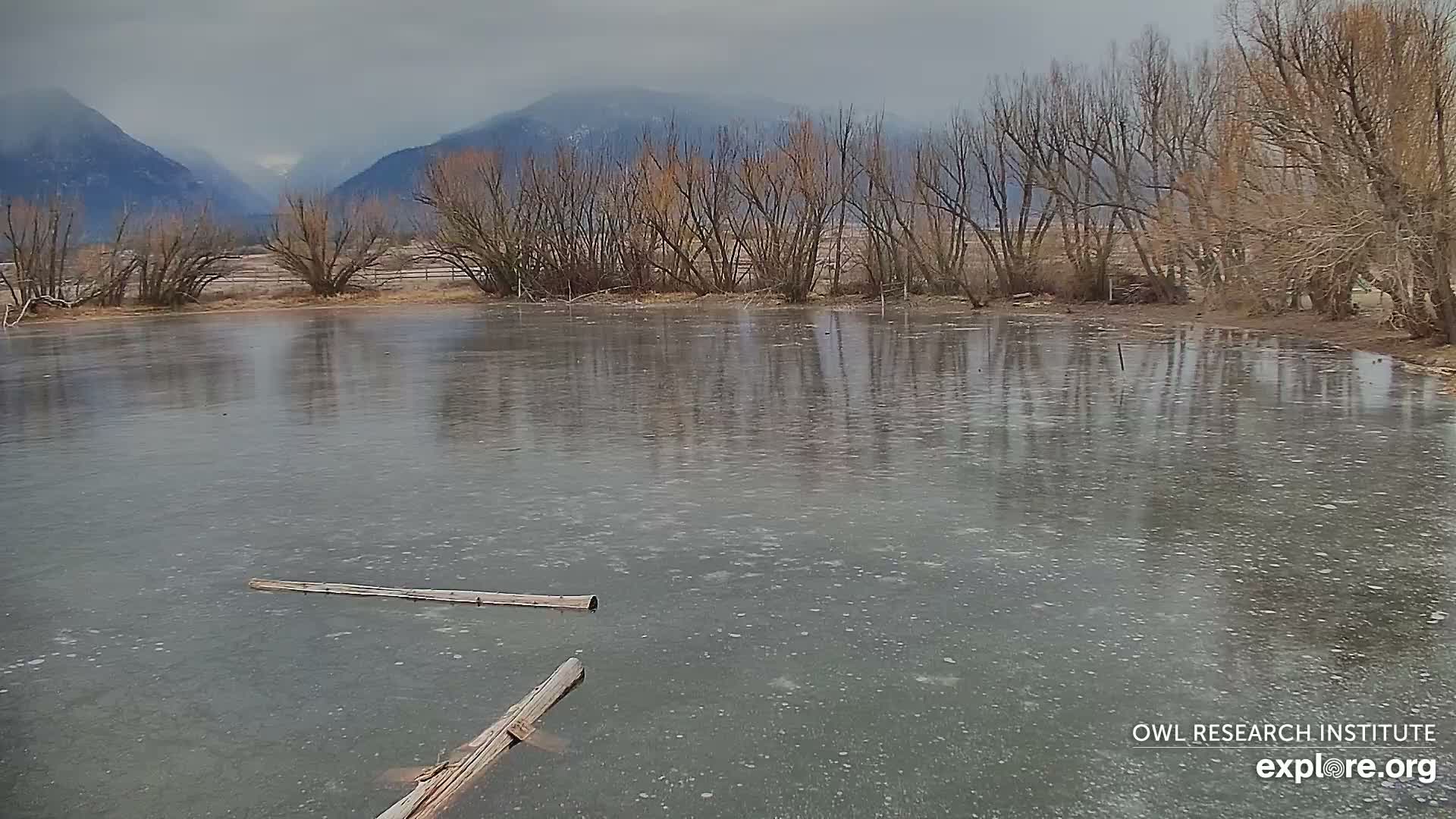 Mission Mountain Range & Mt Calowahcan View from Ninepipe Lodge Wildlife Refuge Live Cam - Charlo, Lake County, Montana, USA