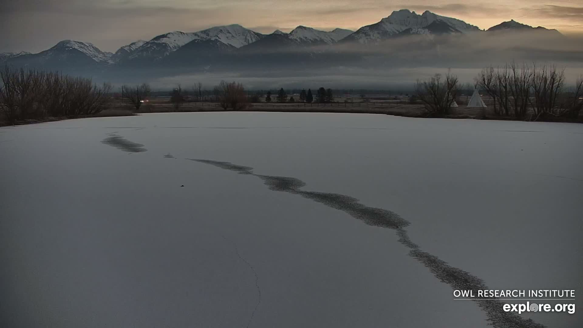 Mission Mountain Range & Mt Calowahcan View from Ninepipe Lodge Wildlife Refuge Live Cam - Charlo, Lake County, Montana, USA