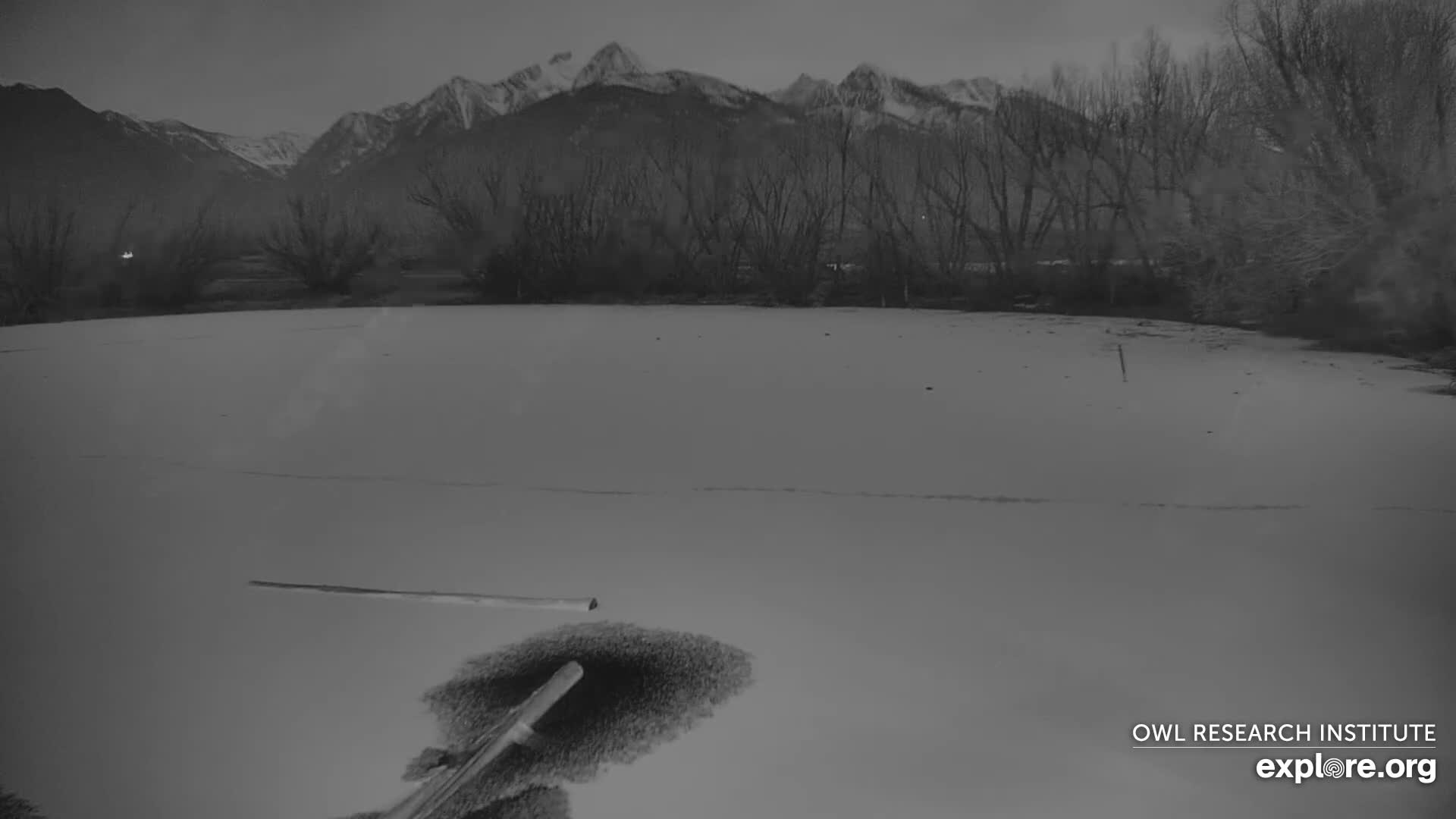 Mission Mountain Range & Mt Calowahcan View from Ninepipe Lodge Wildlife Refuge Live Cam - Charlo, Lake County, Montana, USA