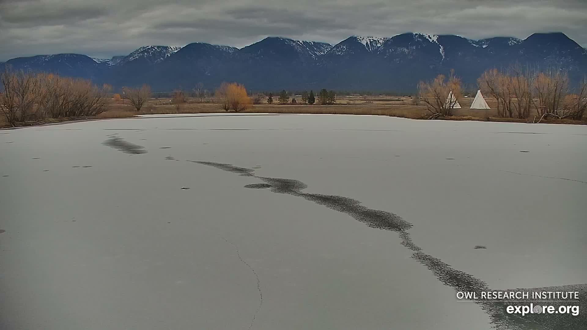 Mission Mountain Range & Mt Calowahcan View from Ninepipe Lodge Wildlife Refuge Live Cam - Charlo, Lake County, Montana, USA