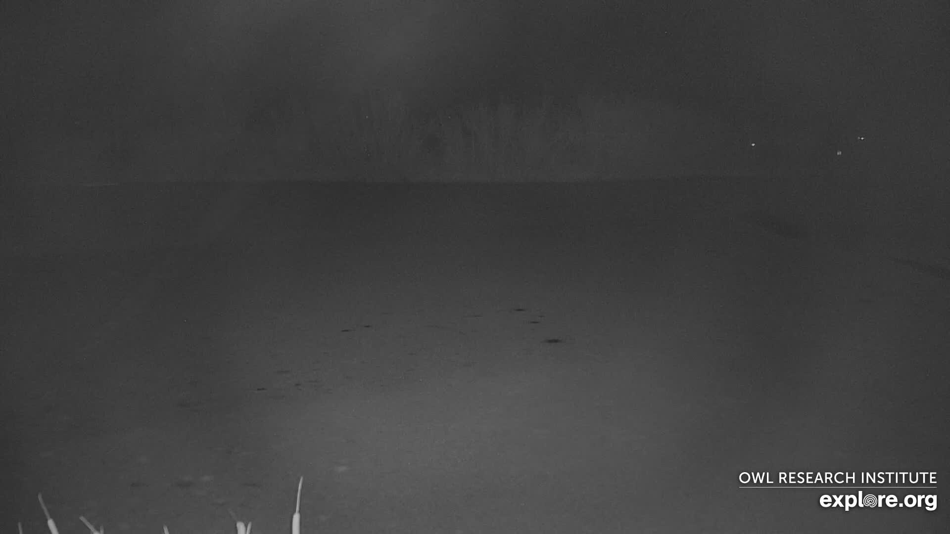 Mission Mountain Range & Mt Calowahcan View from Ninepipe Lodge Wildlife Refuge Live Cam - Charlo, Lake County, Montana, USA