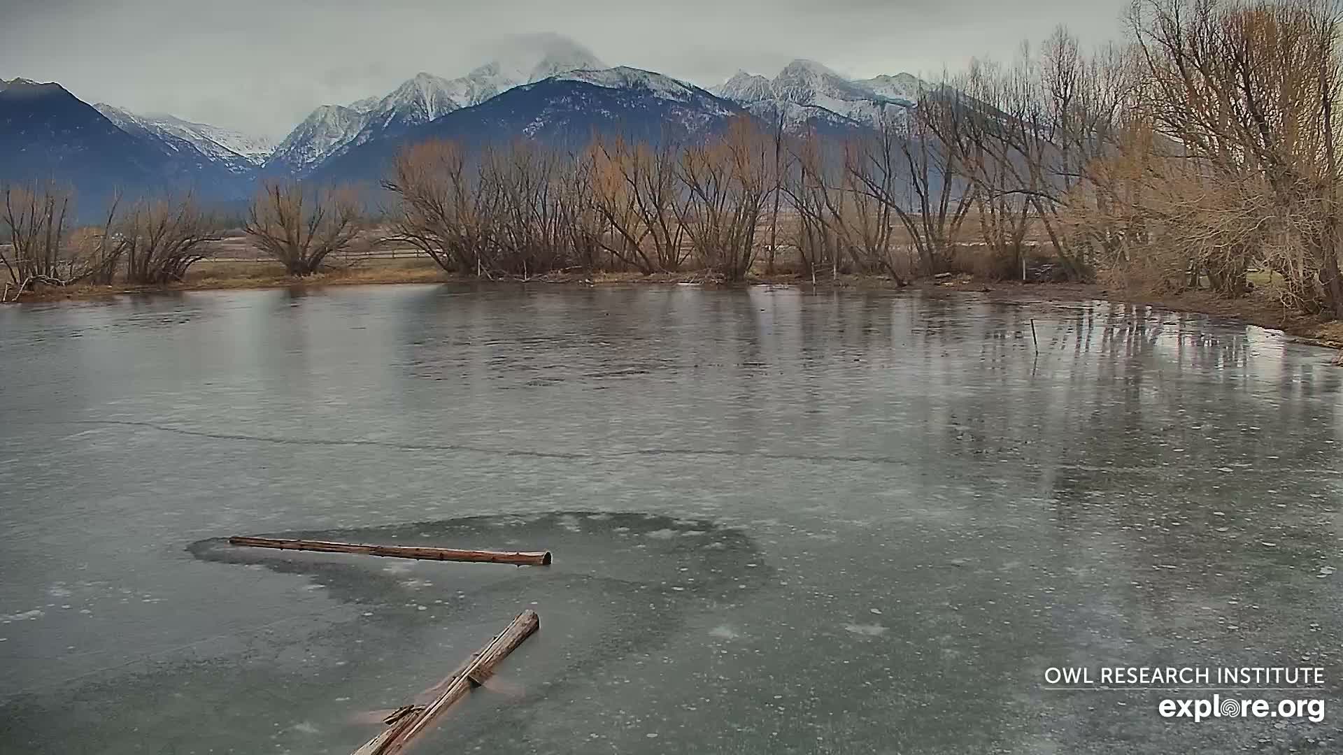 Mission Mountain Range & Mt Calowahcan View from Ninepipe Lodge Wildlife Refuge Live Cam - Charlo, Lake County, Montana, USA