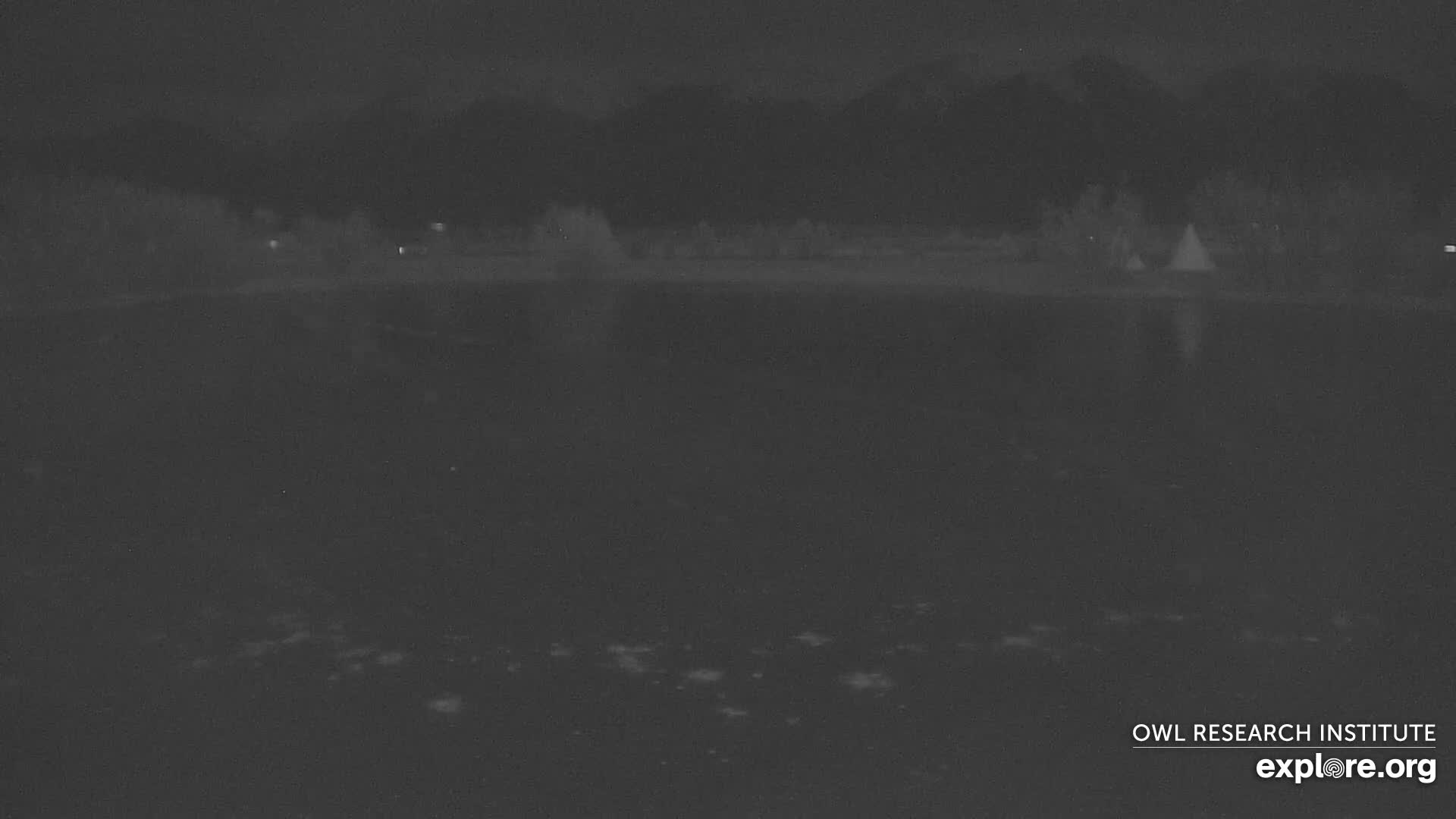 Mission Mountain Range & Mt Calowahcan View from Ninepipe Lodge Wildlife Refuge Live Cam - Charlo, Lake County, Montana, USA