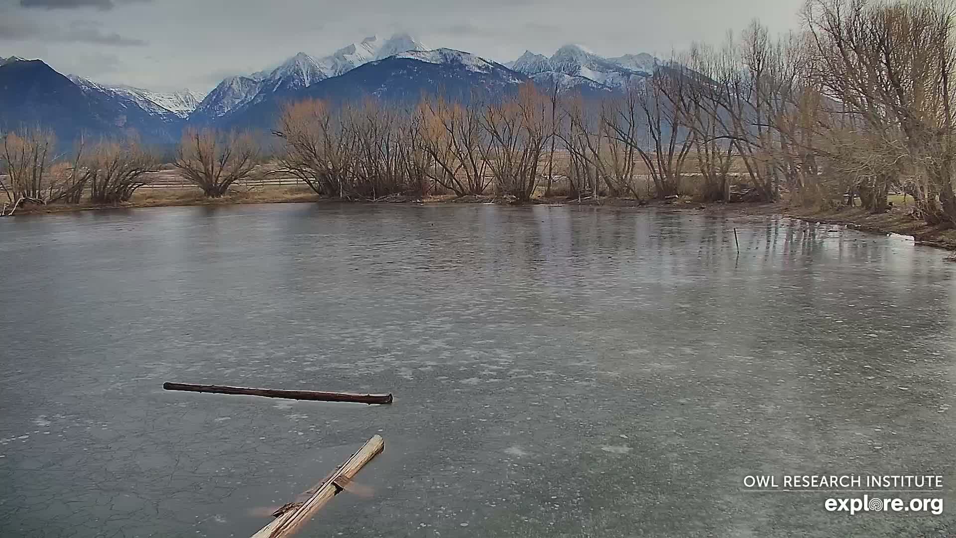 Mission Mountain Range & Mt Calowahcan View from Ninepipe Lodge Wildlife Refuge Live Cam - Charlo, Lake County, Montana, USA