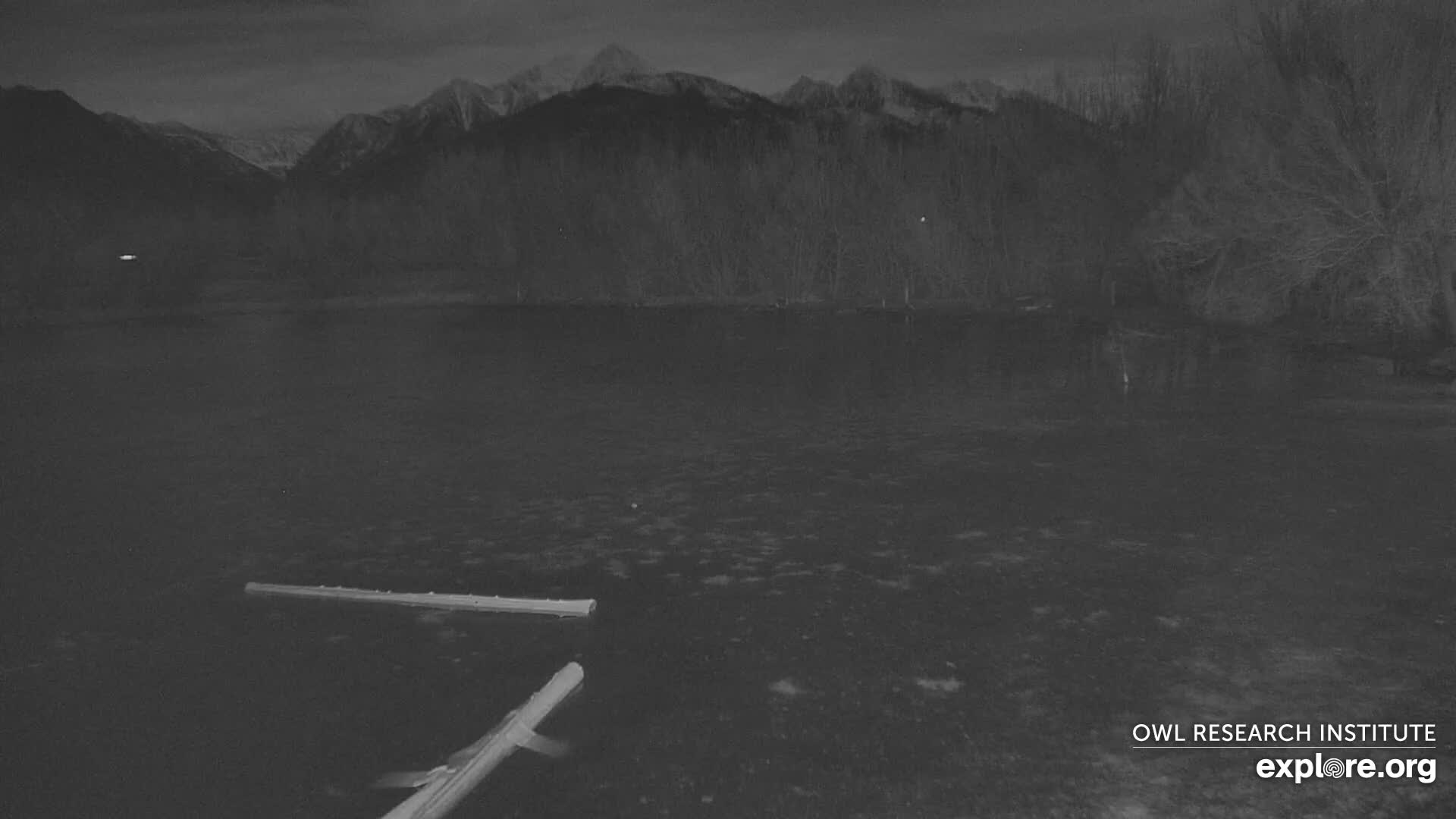 Mission Mountain Range & Mt Calowahcan View from Ninepipe Lodge Wildlife Refuge Live Cam - Charlo, Lake County, Montana, USA