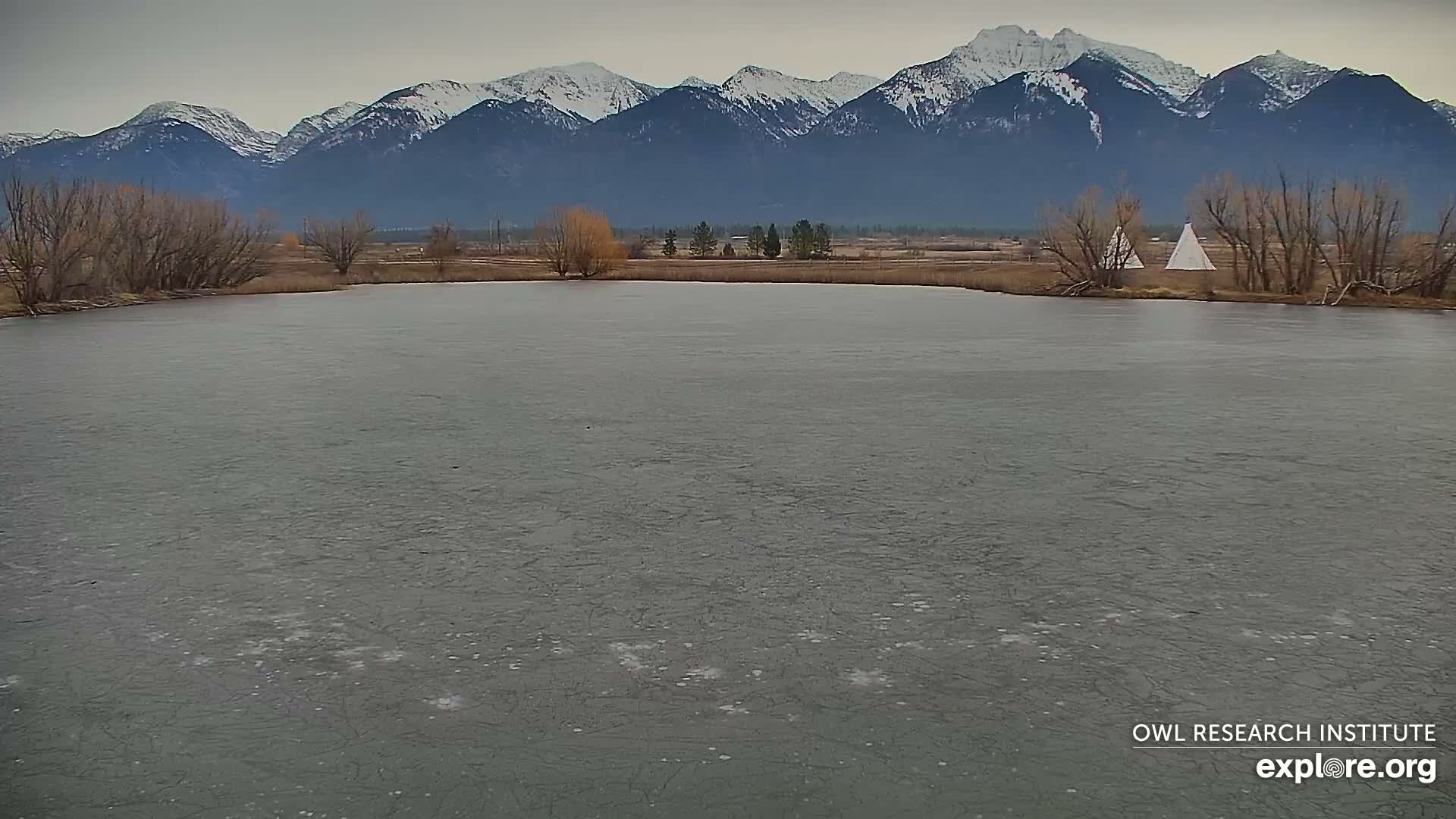 Mission Mountain Range & Mt Calowahcan View from Ninepipe Lodge Wildlife Refuge Live Cam - Charlo, Lake County, Montana, USA