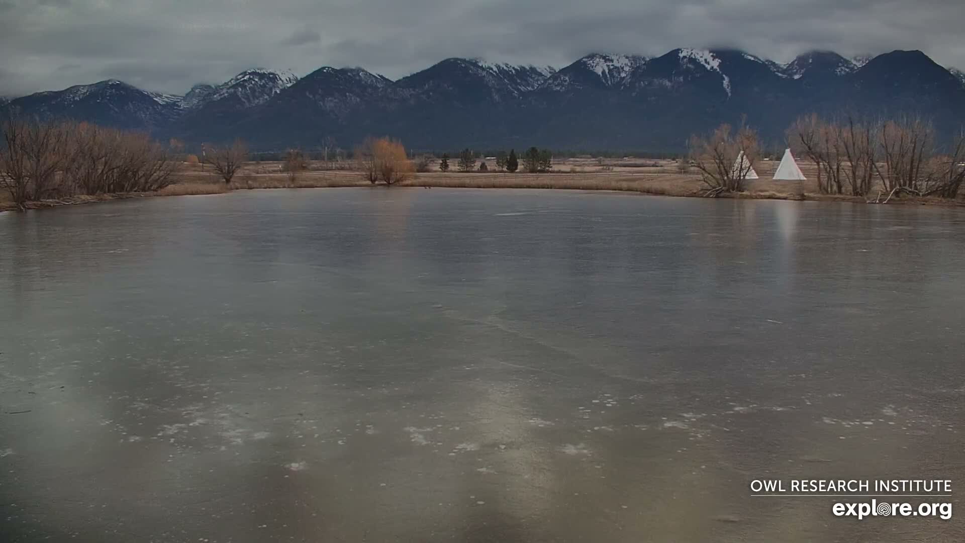 Mission Mountain Range & Mt Calowahcan View from Ninepipe Lodge Wildlife Refuge Live Cam - Charlo, Lake County, Montana, USA