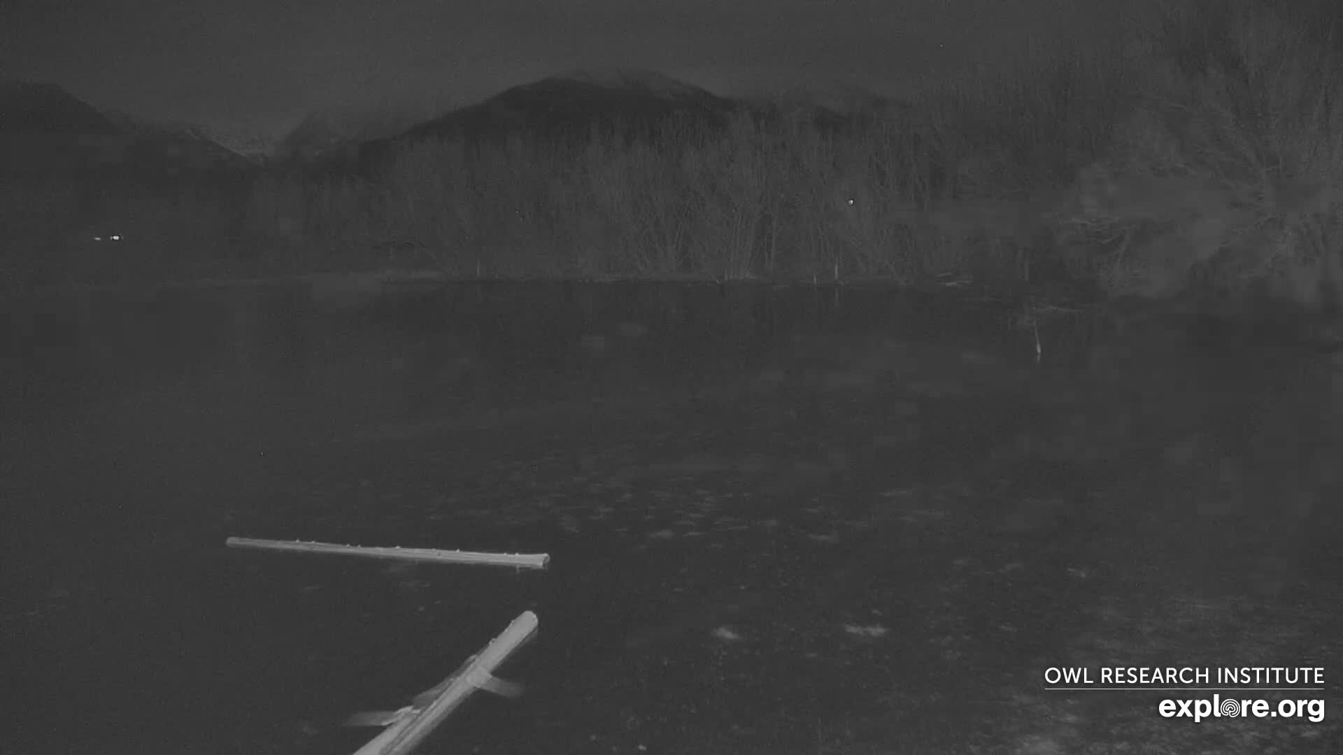 Mission Mountain Range & Mt Calowahcan View from Ninepipe Lodge Wildlife Refuge Live Cam - Charlo, Lake County, Montana, USA