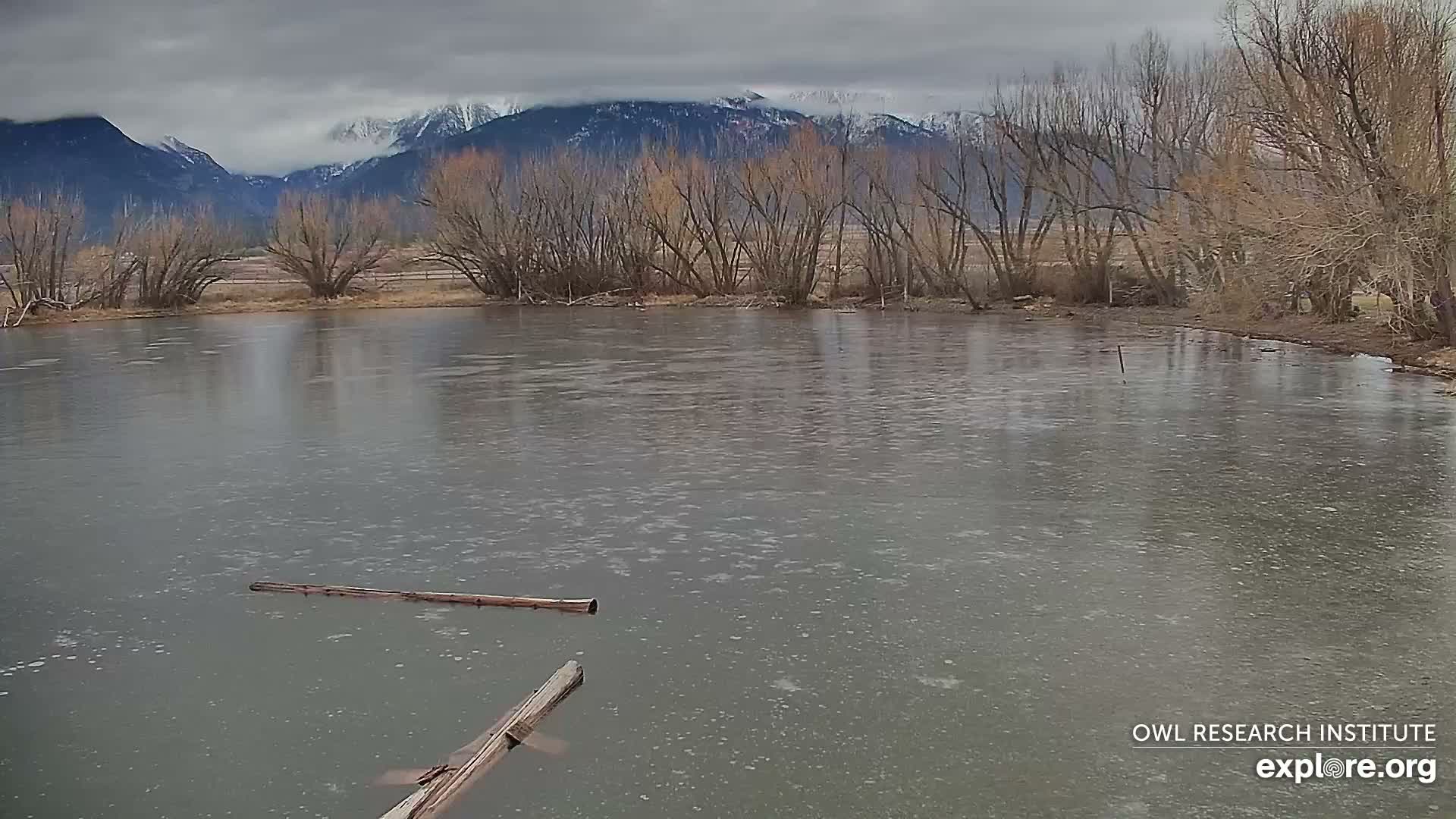 Mission Mountain Range & Mt Calowahcan View from Ninepipe Lodge Wildlife Refuge Live Cam - Charlo, Lake County, Montana, USA