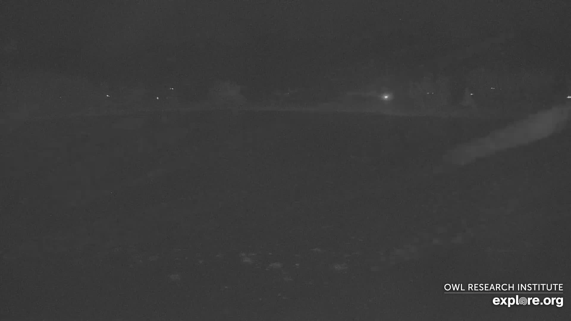 Mission Mountain Range & Mt Calowahcan View from Ninepipe Lodge Wildlife Refuge Live Cam - Charlo, Lake County, Montana, USA
