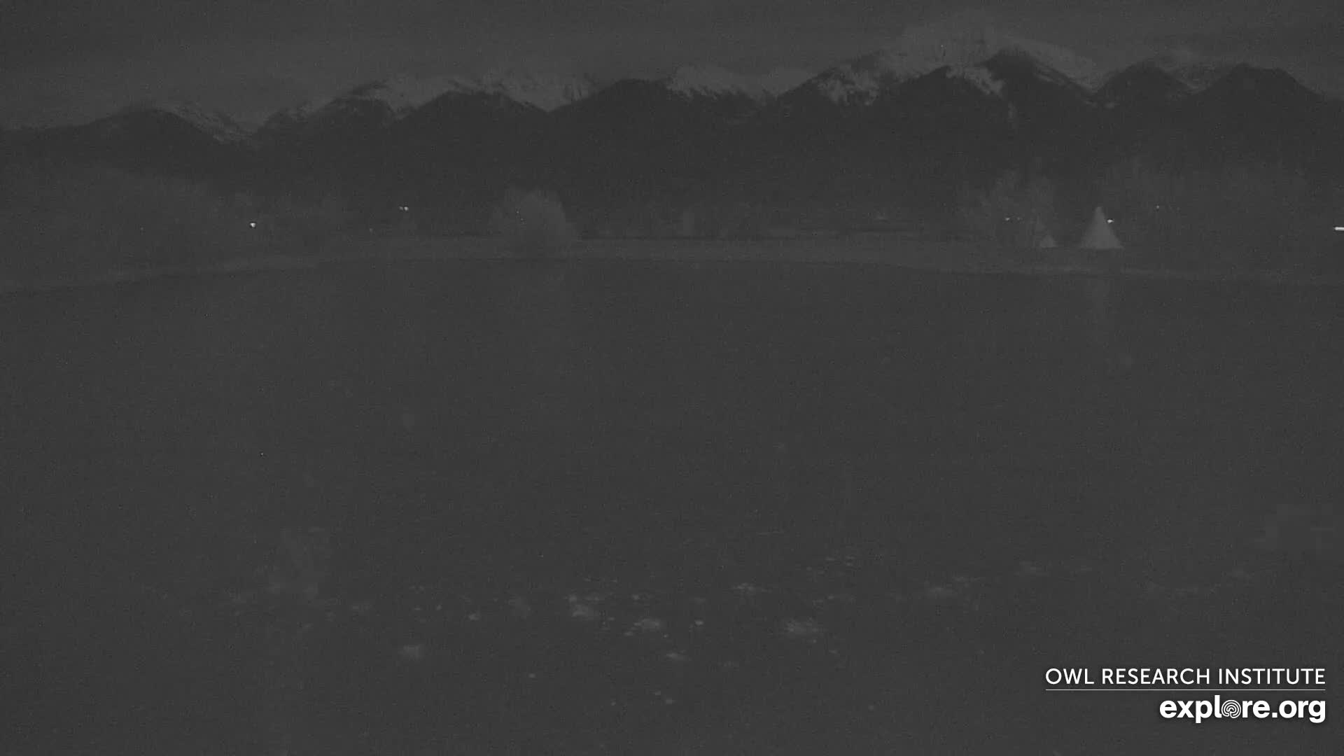 Mission Mountain Range & Mt Calowahcan View from Ninepipe Lodge Wildlife Refuge Live Cam - Charlo, Lake County, Montana, USA