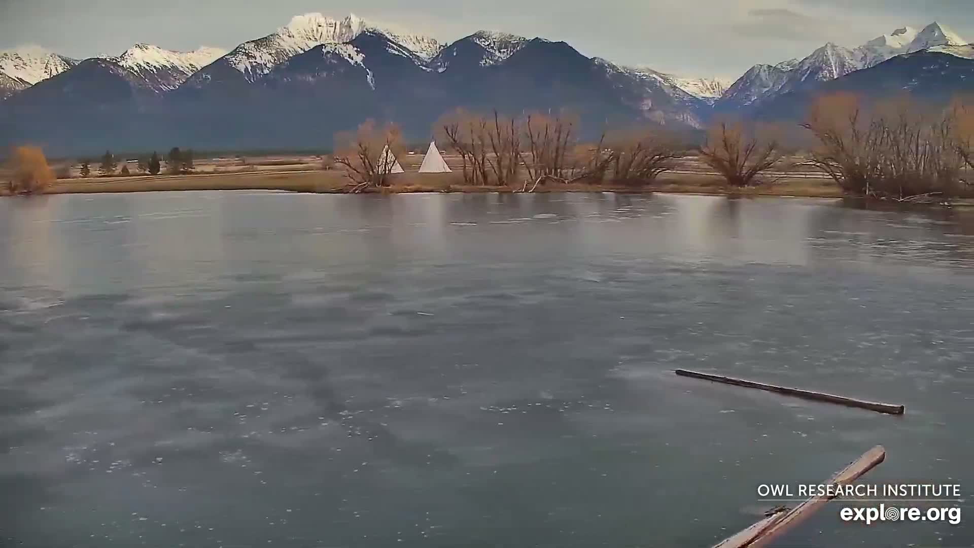 Mission Mountain Range & Mt Calowahcan View from Ninepipe Lodge Wildlife Refuge Live Cam - Charlo, Lake County, Montana, USA