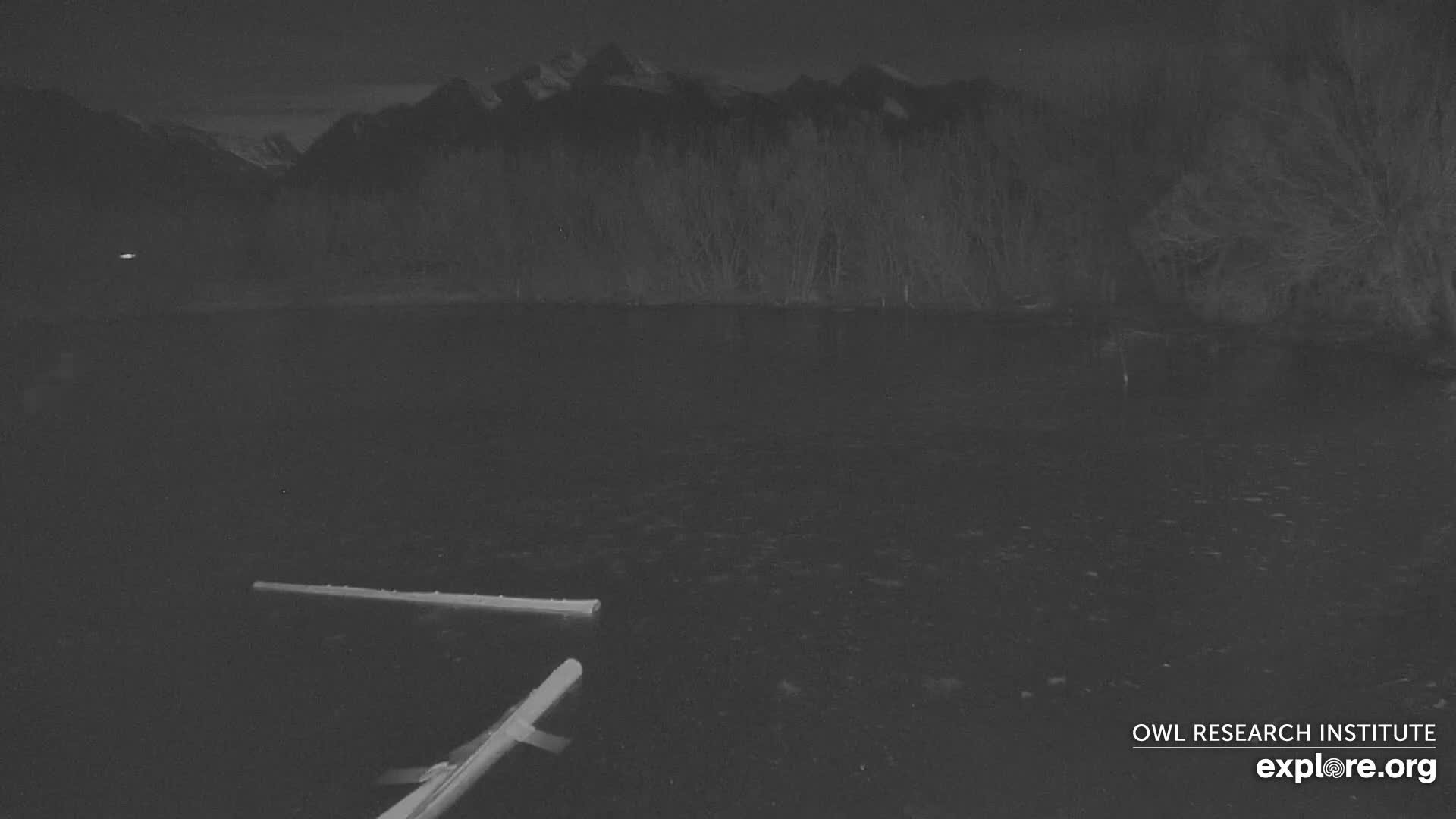 Mission Mountain Range & Mt Calowahcan View from Ninepipe Lodge Wildlife Refuge Live Cam - Charlo, Lake County, Montana, USA
