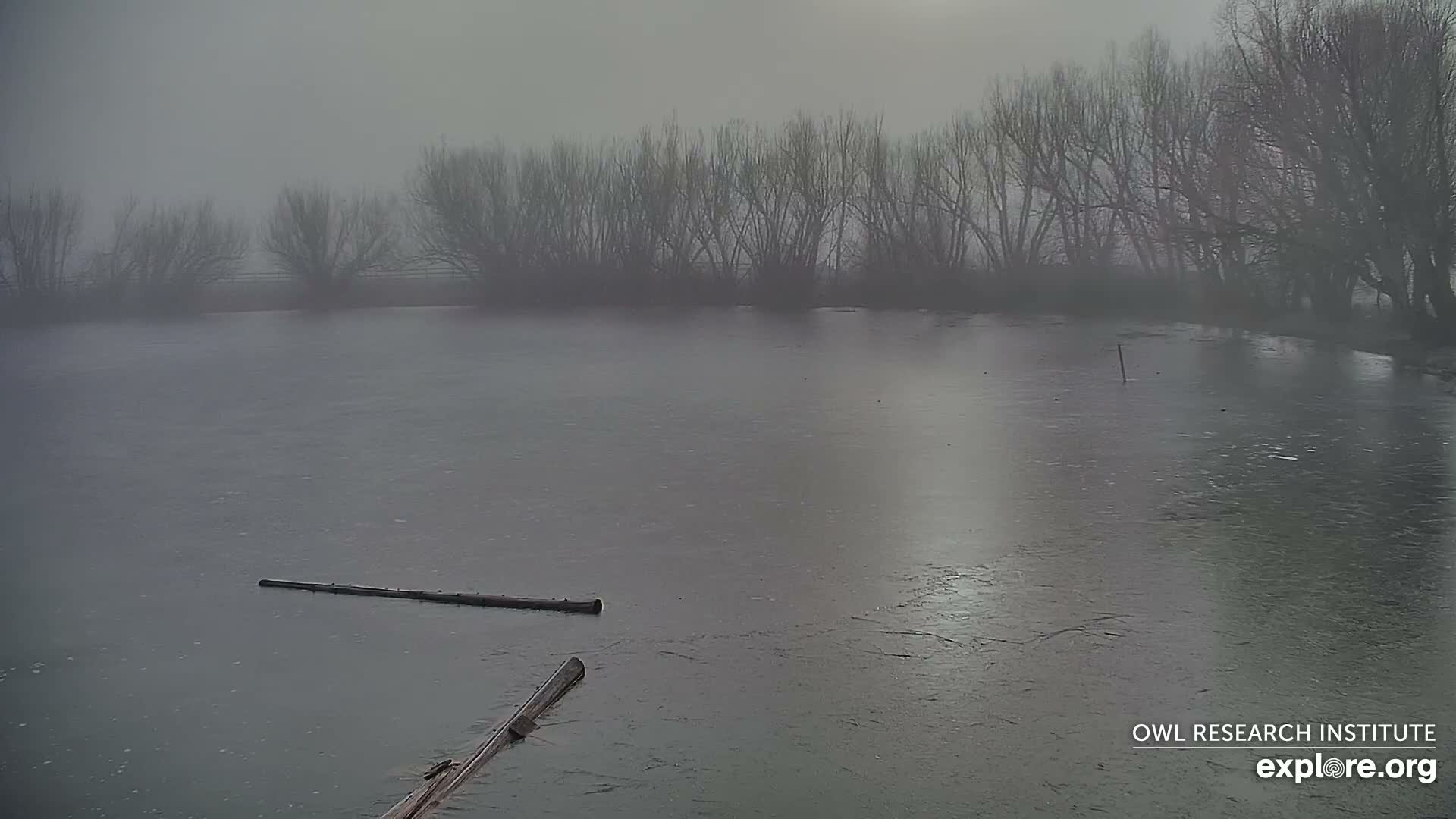 Mission Mountain Range & Mt Calowahcan View from Ninepipe Lodge Wildlife Refuge Live Cam - Charlo, Lake County, Montana, USA