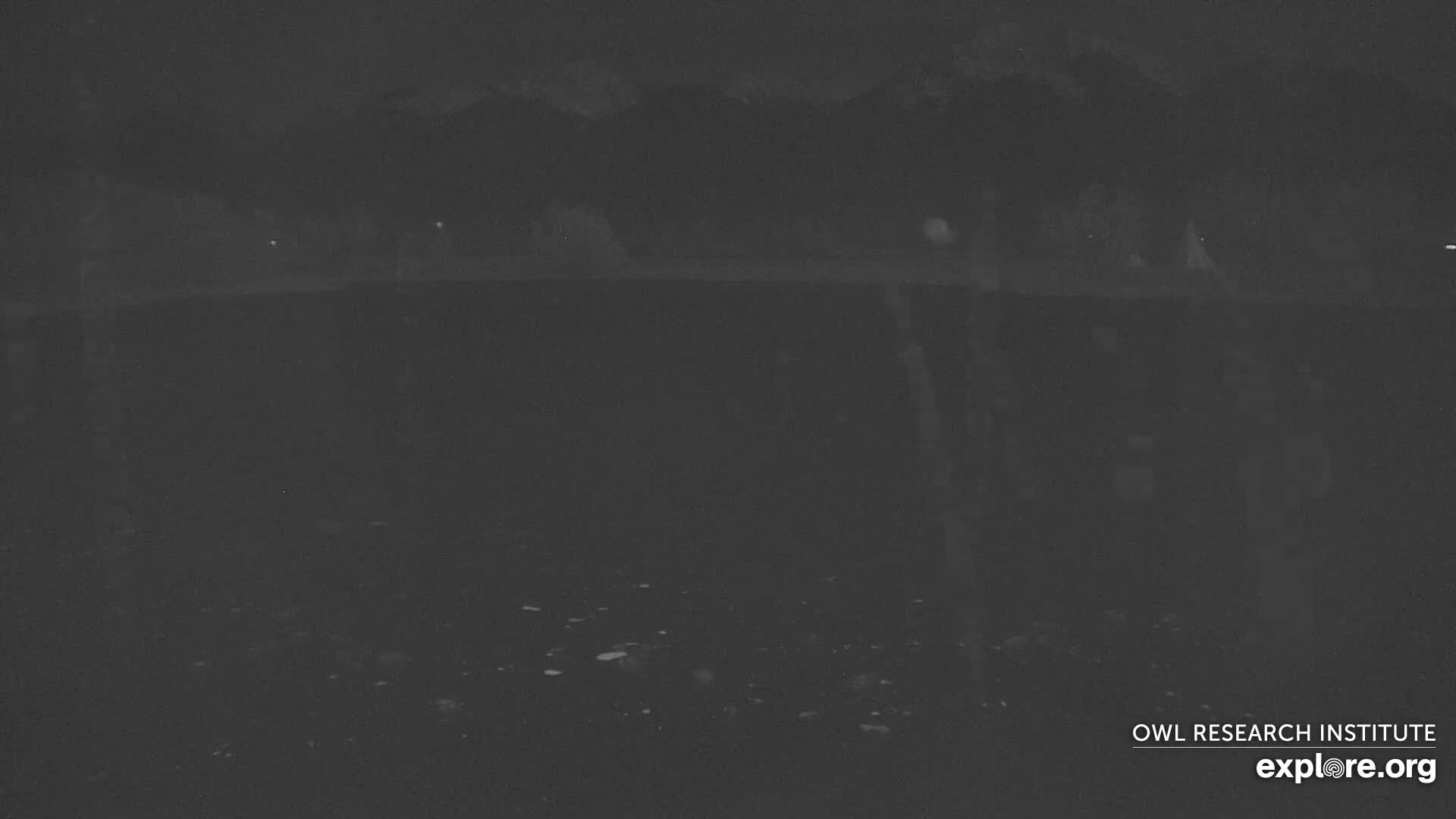 Mission Mountain Range & Mt Calowahcan View from Ninepipe Lodge Wildlife Refuge Live Cam - Charlo, Lake County, Montana, USA