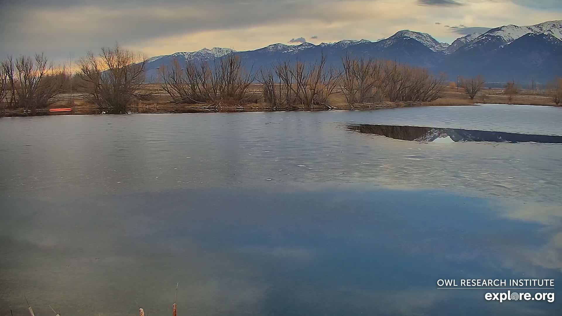 Mission Mountain Range & Mt Calowahcan View from Ninepipe Lodge Wildlife Refuge Live Cam - Charlo, Lake County, Montana, USA