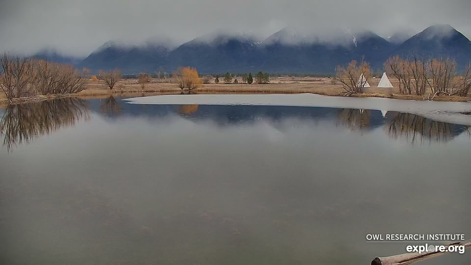 Mission Mountain Range & Mt Calowahcan View from Ninepipe Lodge Wildlife Refuge Live Cam - Charlo, Lake County, Montana, USA