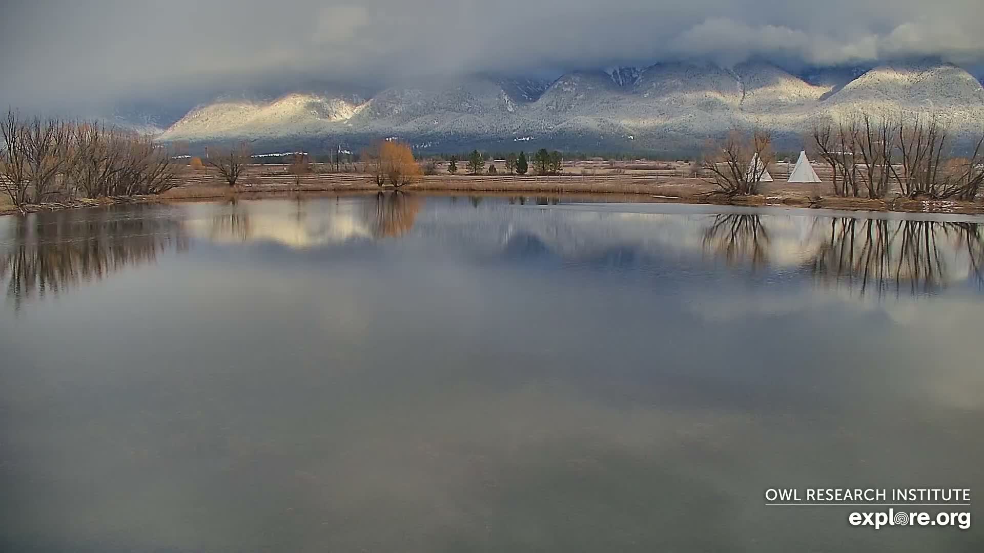 Mission Mountain Range & Mt Calowahcan View from Ninepipe Lodge Wildlife Refuge Live Cam - Charlo, Lake County, Montana, USA