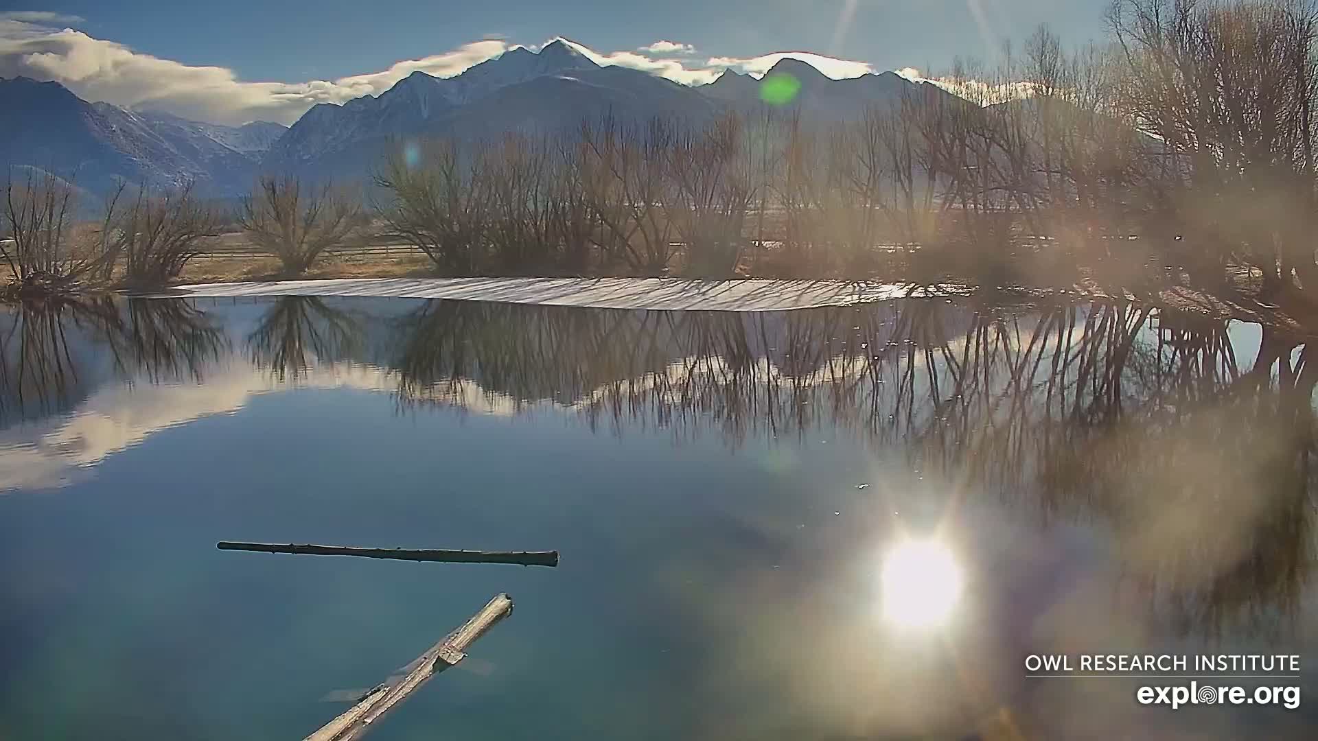 Mission Mountain Range & Mt Calowahcan View from Ninepipe Lodge Wildlife Refuge Live Cam - Charlo, Lake County, Montana, USA