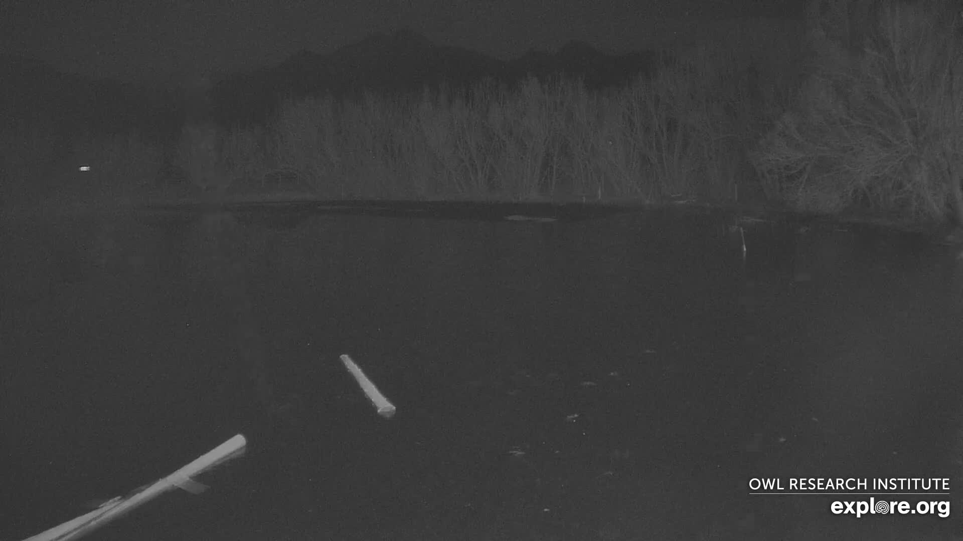 Mission Mountain Range & Mt Calowahcan View from Ninepipe Lodge Wildlife Refuge Live Cam - Charlo, Lake County, Montana, USA