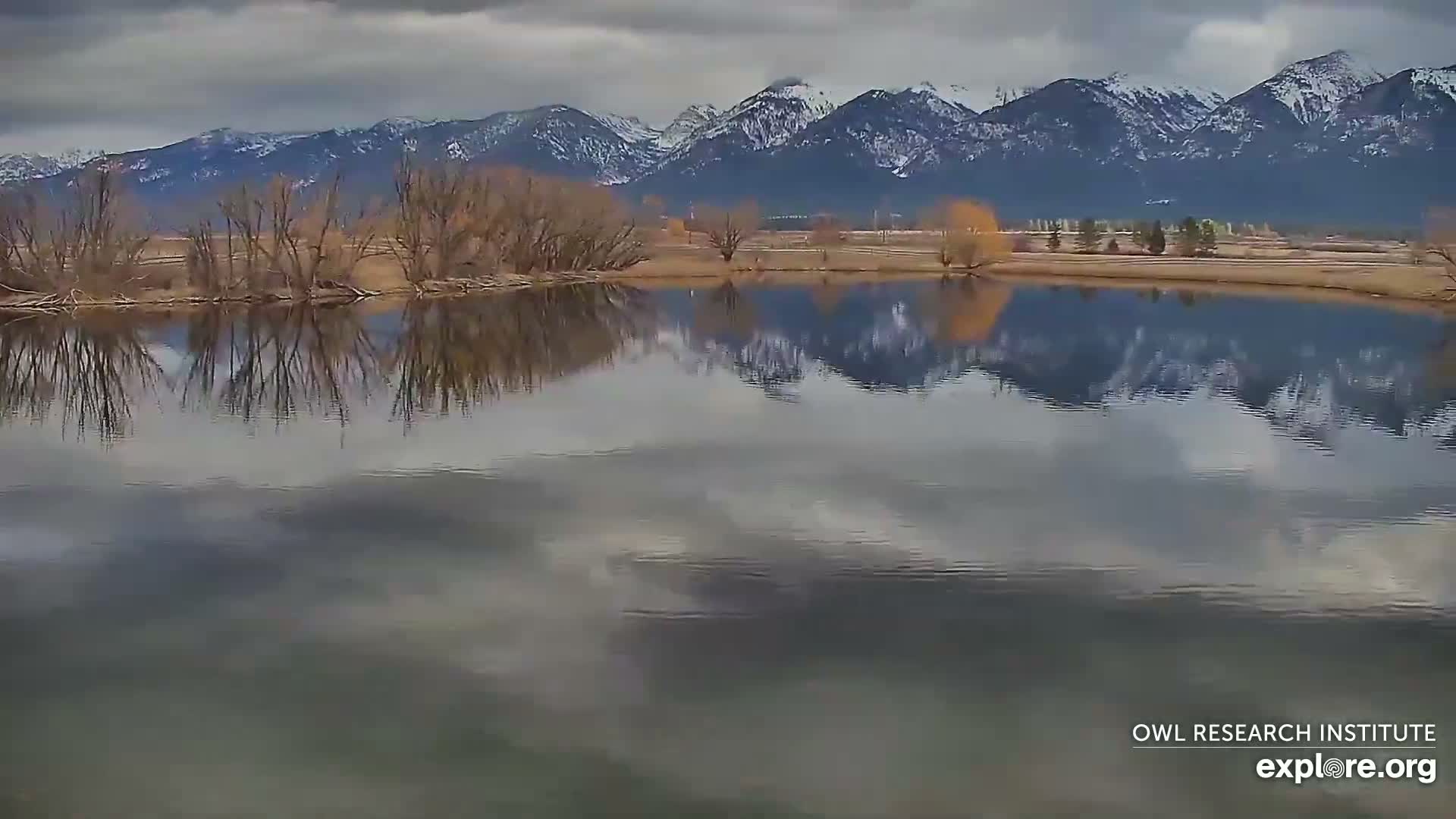 Mission Mountain Range & Mt Calowahcan View from Ninepipe Lodge Wildlife Refuge Live Cam - Charlo, Lake County, Montana, USA