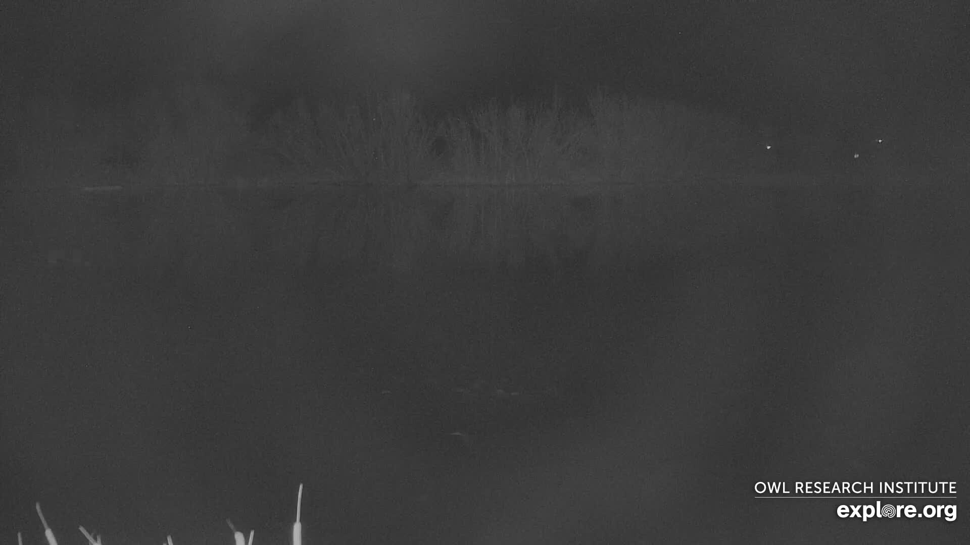 Mission Mountain Range & Mt Calowahcan View from Ninepipe Lodge Wildlife Refuge Live Cam - Charlo, Lake County, Montana, USA