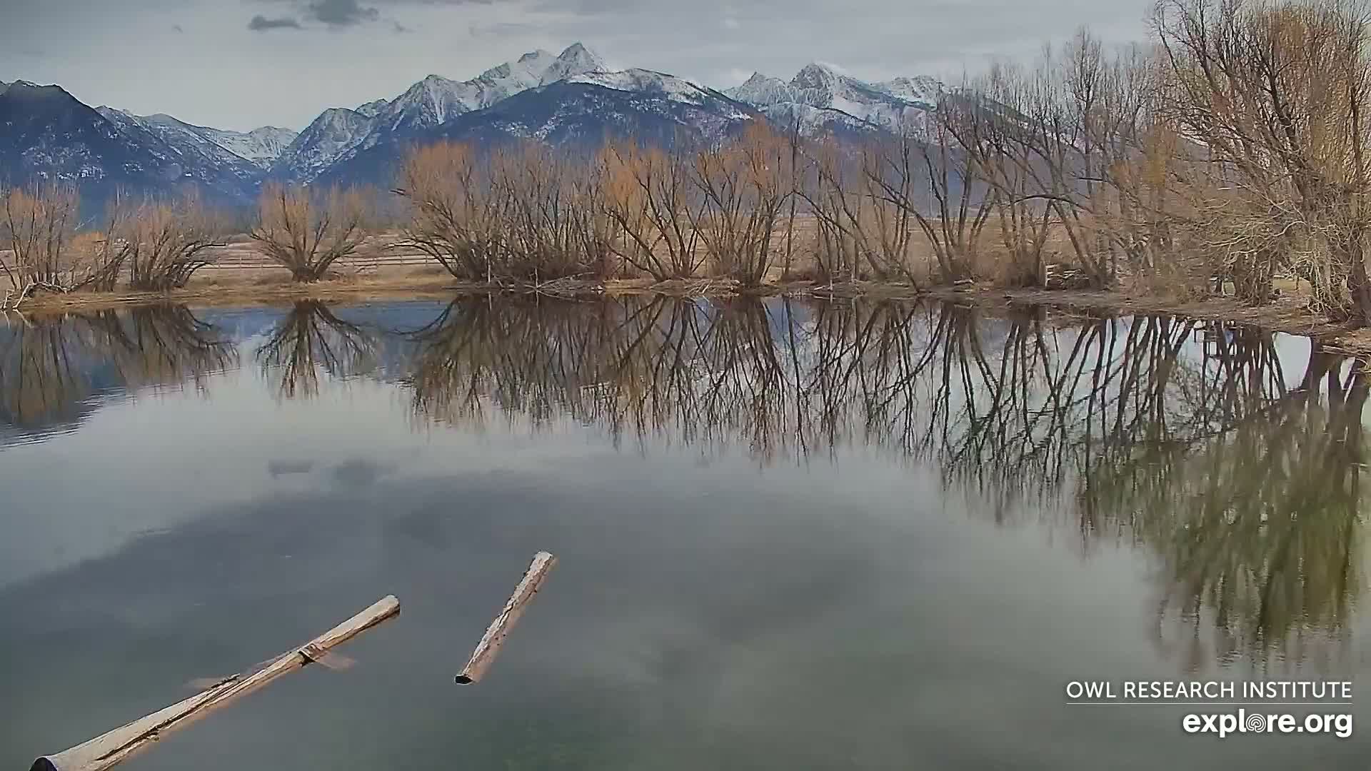 Mission Mountain Range & Mt Calowahcan View from Ninepipe Lodge Wildlife Refuge Live Cam - Charlo, Lake County, Montana, USA