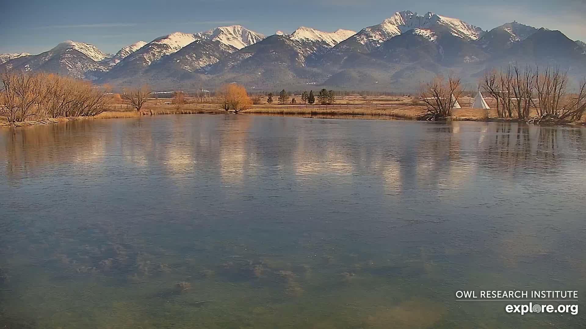Mission Mountain Range & Mt Calowahcan View from Ninepipe Lodge Wildlife Refuge Live Cam - Charlo, Lake County, Montana, USA