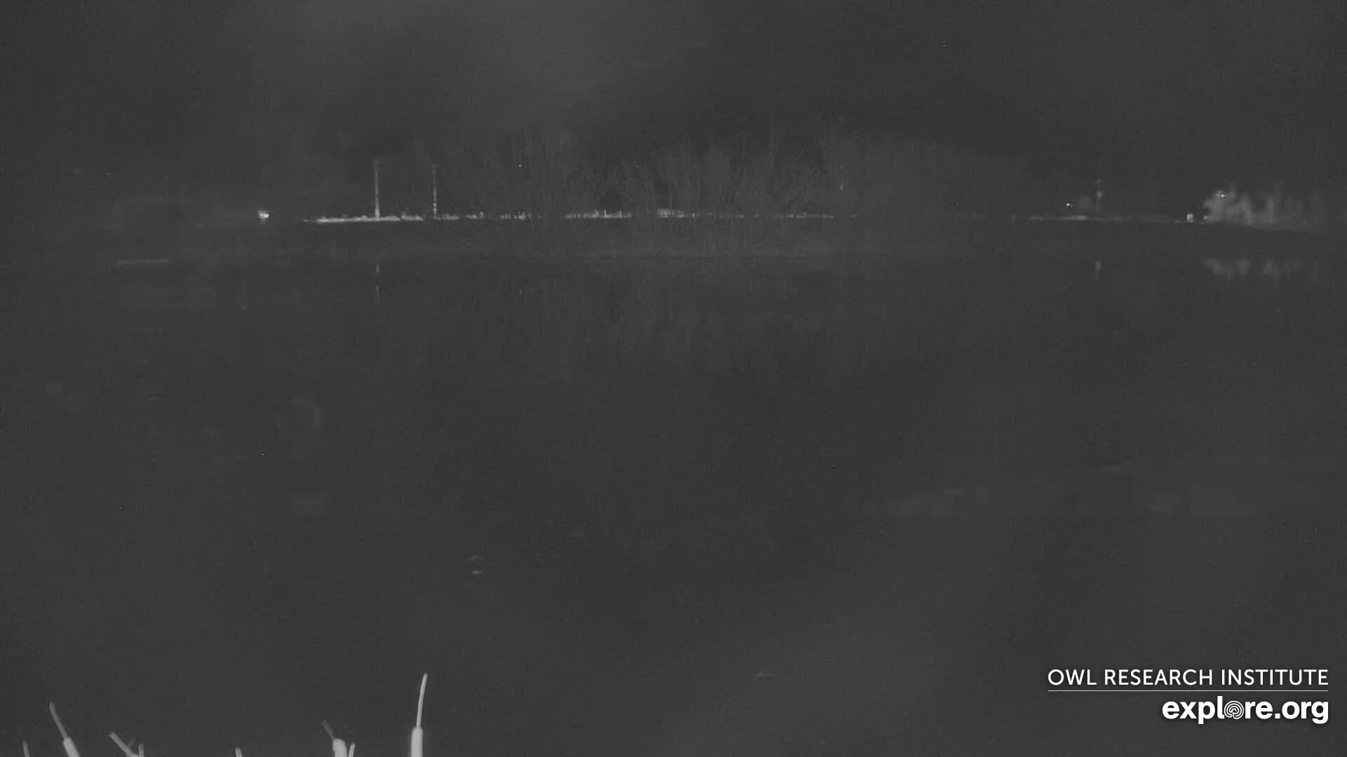 Mission Mountain Range & Mt Calowahcan View from Ninepipe Lodge Wildlife Refuge Live Cam - Charlo, Lake County, Montana, USA