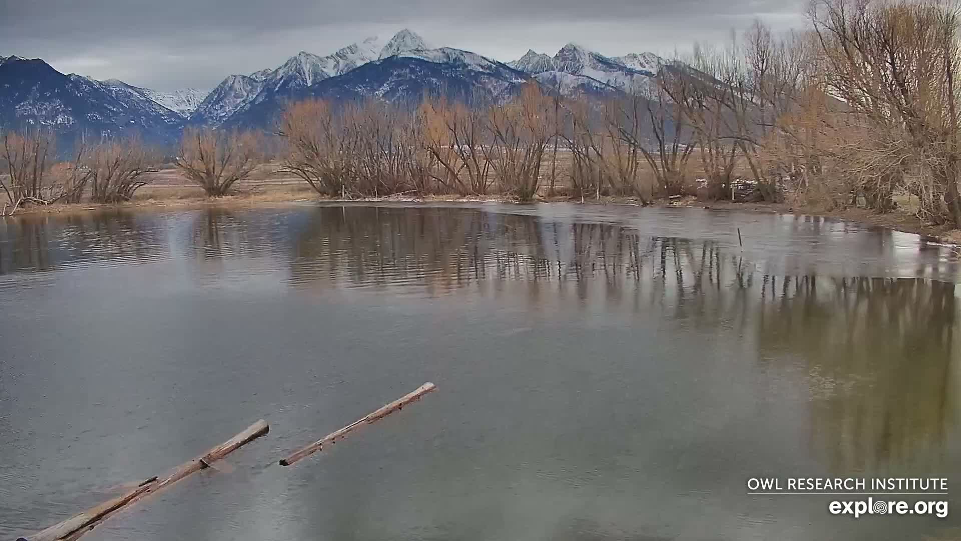 Mission Mountain Range & Mt Calowahcan View from Ninepipe Lodge Wildlife Refuge Live Cam - Charlo, Lake County, Montana, USA