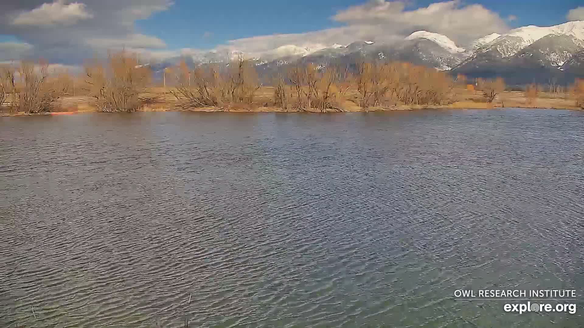 Mission Mountain Range & Mt Calowahcan View from Ninepipe Lodge Wildlife Refuge Live Cam - Charlo, Lake County, Montana, USA