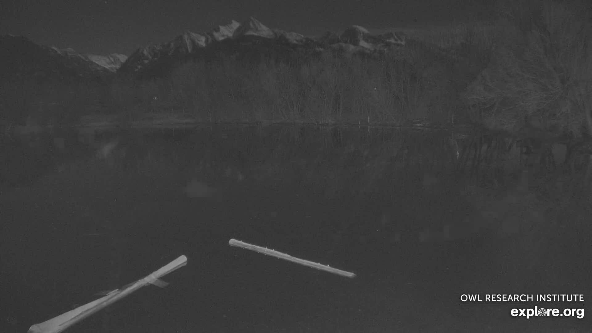 Mission Mountain Range & Mt Calowahcan View from Ninepipe Lodge Wildlife Refuge Live Cam - Charlo, Lake County, Montana, USA