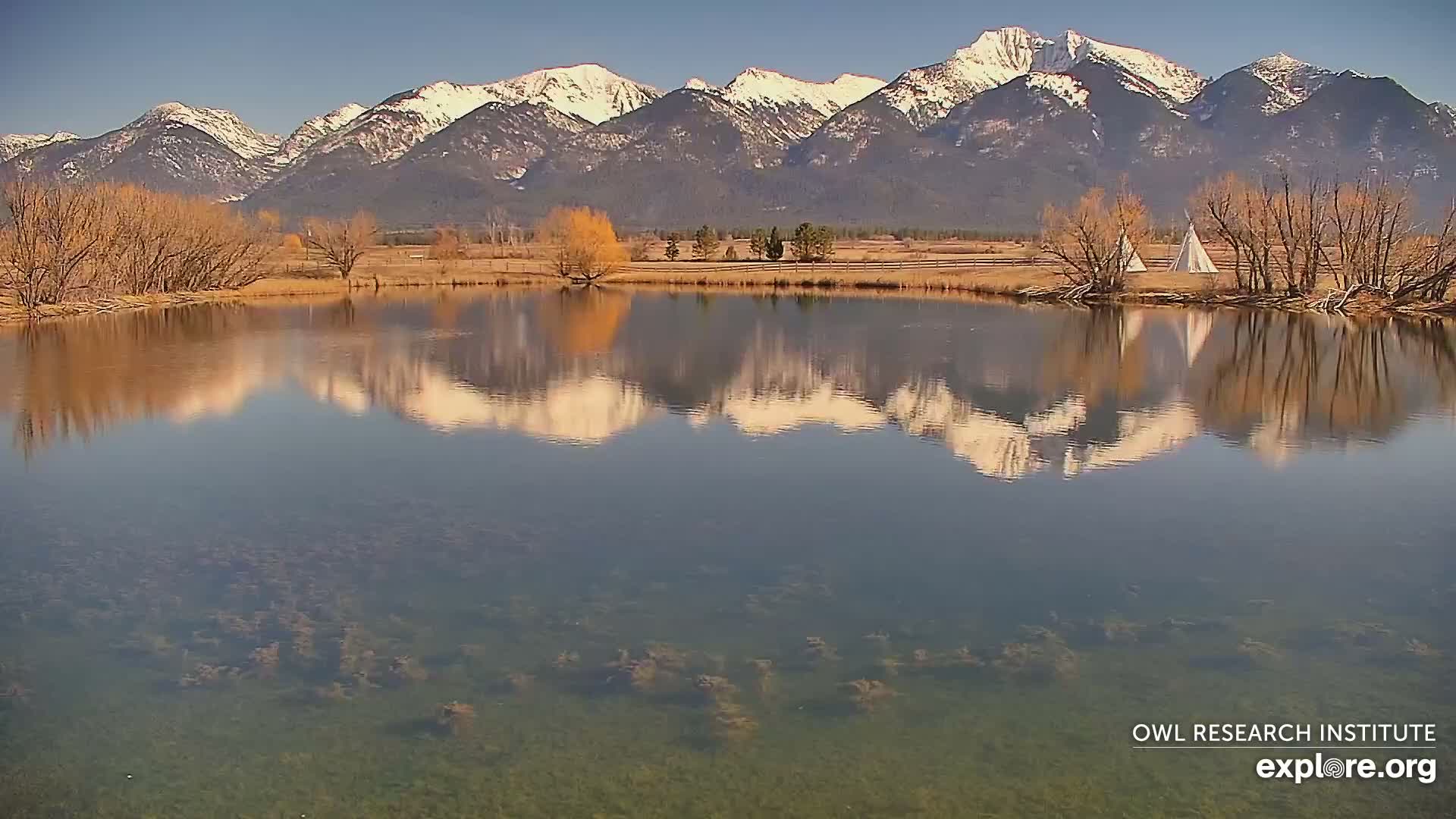 Mission Mountain Range & Mt Calowahcan View from Ninepipe Lodge Wildlife Refuge Live Cam - Charlo, Lake County, Montana, USA