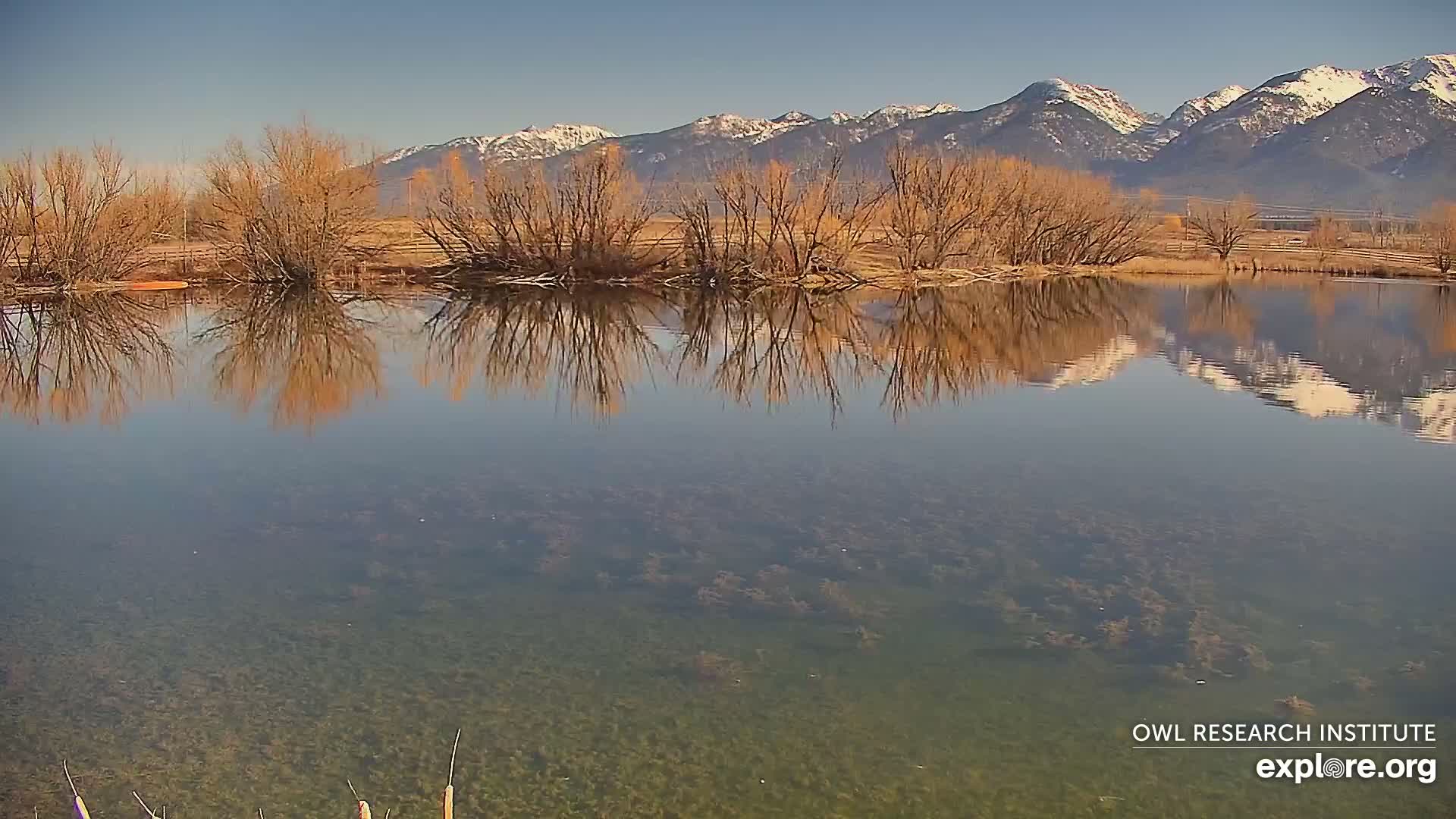 Mission Mountain Range & Mt Calowahcan View from Ninepipe Lodge Wildlife Refuge Live Cam - Charlo, Lake County, Montana, USA